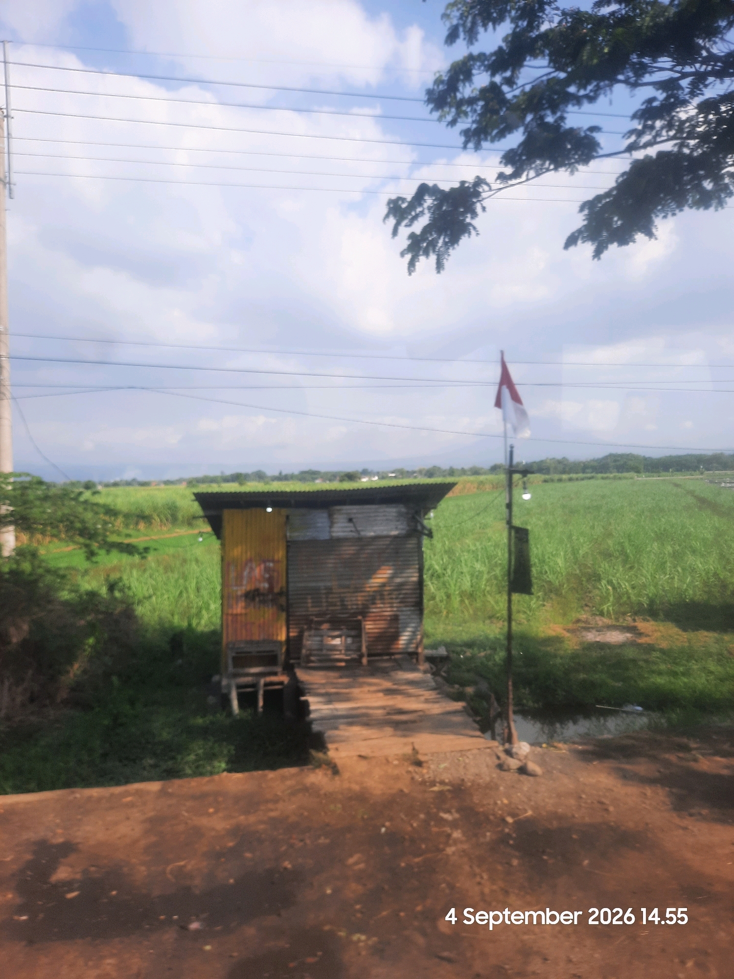 This image captures a roadside scene in Klaseman, Indonesia, on September 4, 2026, at 2:55 PM. In the foreground, a dirt path with tire tracks leads towards a small, weathered shack. The shack appears to be constructed from corrugated metal and wood, with a tin roof. A small wooden ramp or bridge leads to the shack's entrance, which is partially open, revealing a dark interior. In front of the shack, a pole supports a small Indonesian flag, with a light bulb attached below it. Behind the shack, vast fields of green crops, possibly sugarcane, stretch towards the horizon. The landscape is dotted with scattered trees and bushes. Overhead, power lines are visible against a sky filled with white clouds. A section of tree branches with dark green leaves overhangs the top right corner of the frame. The overall impression is one of a rural or semi-rural environment.