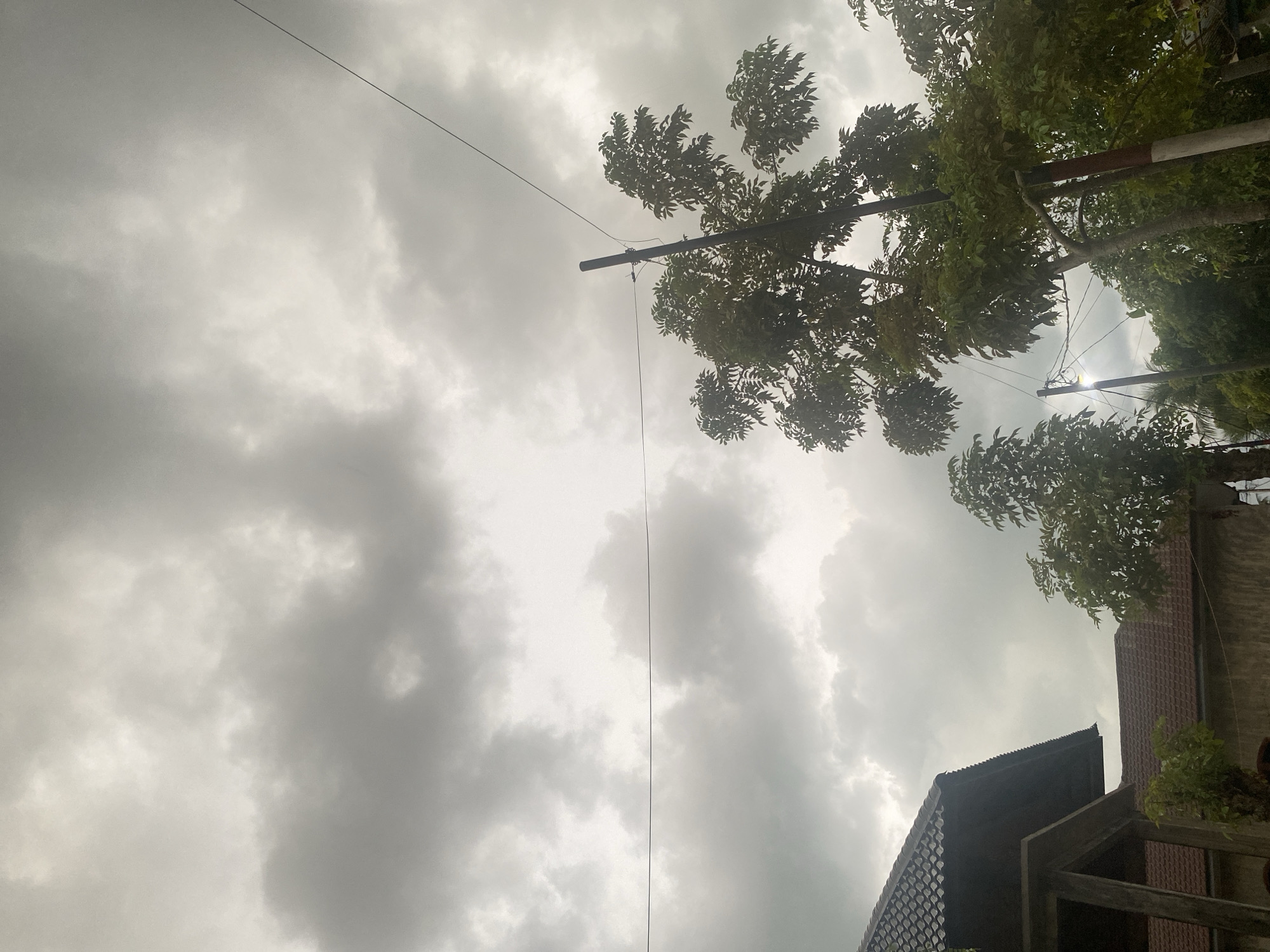 A photograph, rotated 90 degrees clockwise, captures an overcast sky dominated by a thick blanket of grey clouds. The sky covers the majority of the frame, with varying shades of grey indicating dense cloud cover, suggesting either an impending storm or a very cloudy day.
Along the right side and top right, abundant green foliage from several trees is visible, with branches extending into the frame. A dark utility pole with some attached components is partially obscured by these leaves, with thin black electrical wires stretching across the cloudy sky.
In the bottom right corner, parts of two buildings are visible. One building features a dark, possibly corrugated or dark tiled roof, while the adjacent structure has a reddish-brown tiled roof.
There is no discernible activity taking place, and no people or animals are visible. The scene depicts a static, cloudy daytime environment in Tanjongkapai, Indonesia, without any visible text.