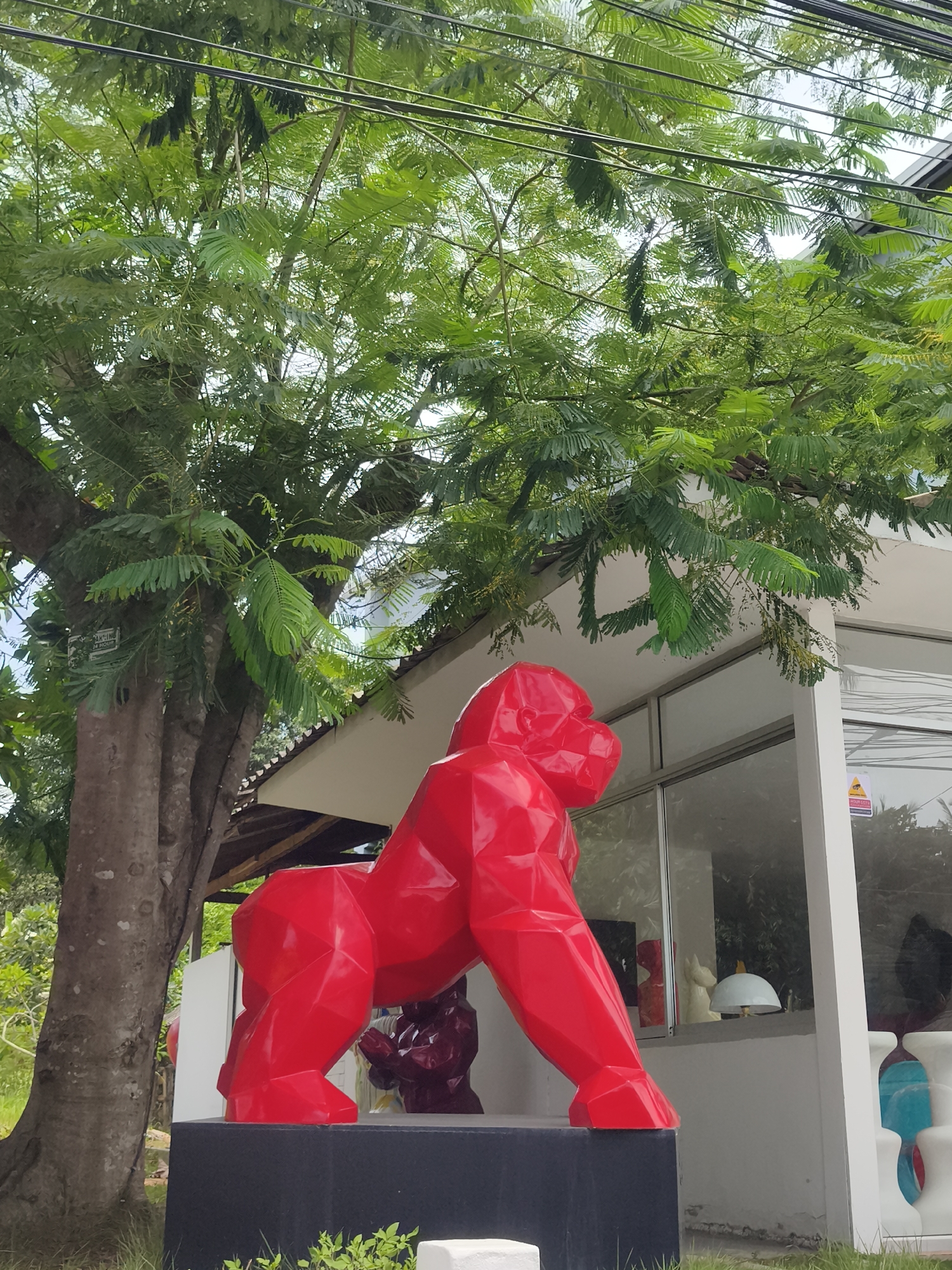 A bright red, polygonal gorilla sculpture stands prominently in the foreground on a black pedestal. Behind the gorilla, a large tree with lush green foliage dominates the left side of the frame, with its branches extending over a white building. The building features large glass windows that reflect the surrounding environment, and a white awning extends from the roof. Power lines are visible overhead, crisscrossing through the tree branches. The setting appears to be an outdoor area in a tropical location, likely a commercial establishment, given the building's design and the presence of signage, suggesting it could be in Ko Samui District, Thailand. The overall scene is bright and airy, with natural light illuminating the colorful sculpture and the vibrant greenery.