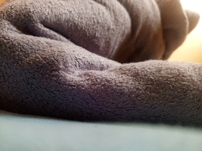 The image depicts a close-up, shallow-depth-of-field view of a folded gray-mauve, fuzzy textile object, likely a blanket or similar soft material, resting on a flat, smooth, bluish-green surface. The textile's surface is characterized by a dense, short pile and exhibits numerous irregular folds and contours. The background is out of focus, appearing as a blurred gradient, transitioning from darker tones to a warm, yellowish-orange glow in the upper right quadrant. No individuals, specific actions, or discernible interactions are visible. The scene is located in Kuta, Nigeria.