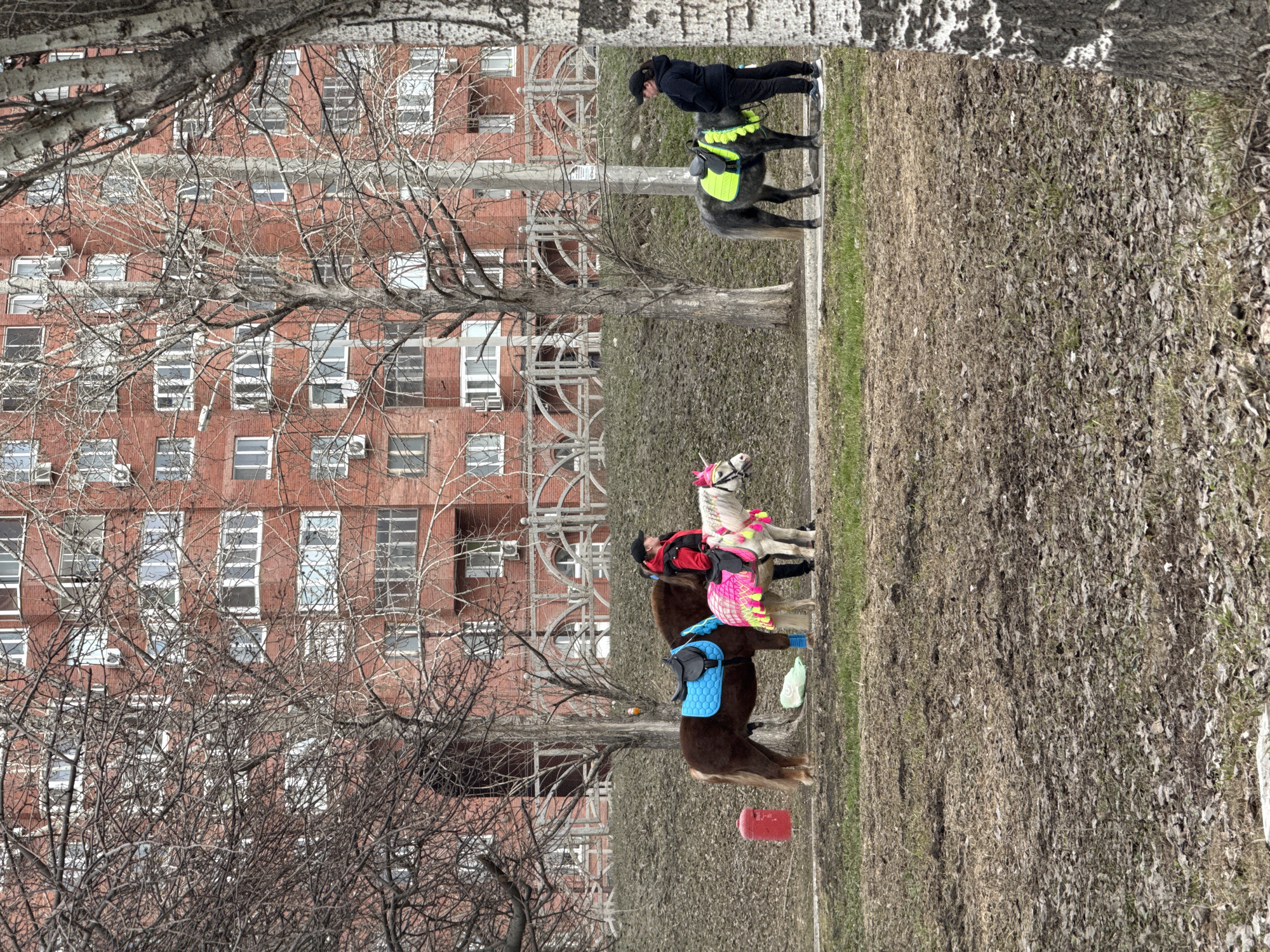 An outdoor scene in an urban green space within Yekaterinburg, Russia, depicts three ponies with two adult female handlers against a backdrop of residential buildings. The environment is characterized by a ground largely covered in dry, brown leaves with patches of sparse green grass, indicating late winter or early spring. Bare deciduous trees with intricate branch networks are scattered throughout the mid-ground, partially obscuring a multi-story, red-brick residential building with numerous white-framed windows and visible air conditioning units in the background.
A paved pathway runs horizontally across the mid-ground. On the left, a brown pony, fitted with a blue saddle and black bridle, stands calmly. Its front legs have blue wraps. Next to it, a red cylindrical object, possibly a bollard or a bin, is visible. Adjacent to the brown pony, a smaller, white pony wears a bright pink, yellow, and green decorative blanket and a pink unicorn horn headpiece. A female individual, dressed in a red jacket, black vest, black cap, and dark pants, stands near the white pony, facing right.
Further to the right along the pathway, another small, gray pony stands with a yellow/lime green saddle pad featuring decorative pom-poms and a black saddle. A second female individual, wearing a black hoodie, black cap, black pants, and athletic shoes, stands next to the gray pony, facing left. Behind the pathway and ponies, a sloped embankment covered in dry leaves and grass leads up to a low, decorative concrete or stone fence with arch designs. A utility pole is situated between the second woman and the white pony. The ponies appear to be idle, possibly waiting for activity or a break from rides.