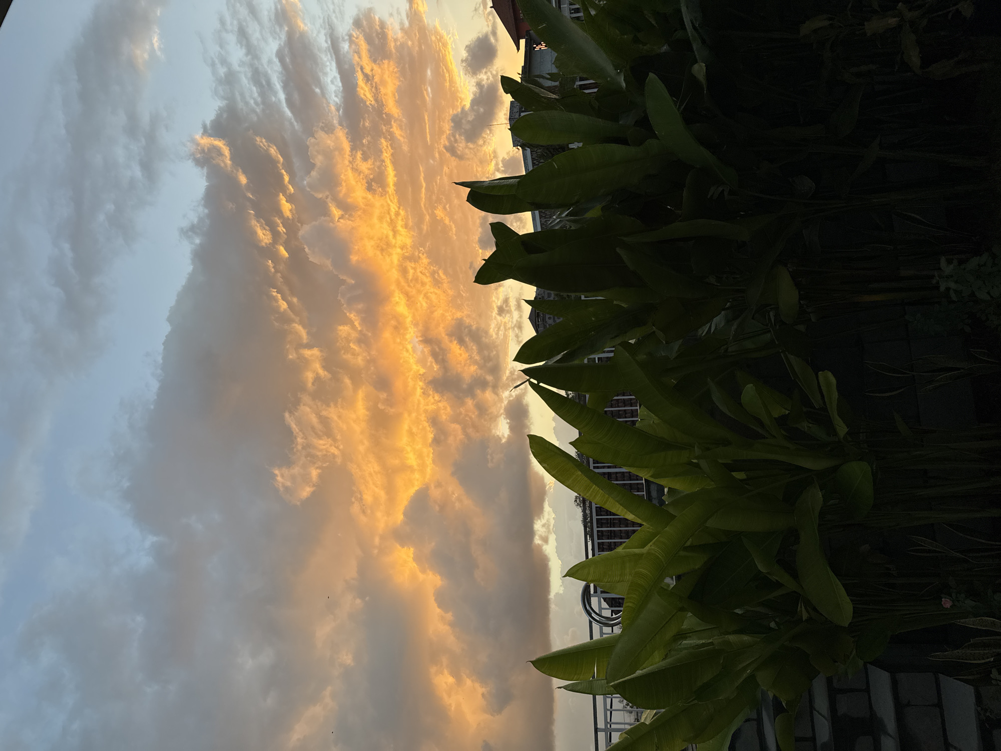 This image captures a sunset scene in Kuta Selatan, Indonesia. The sky is filled with dramatic clouds, illuminated by the setting sun with vibrant shades of orange and yellow. In the foreground, large, lush green leaves of tropical plants dominate, casting a dark shadow. Behind the plants, a white railing and parts of buildings are visible, suggesting an urban or semi-urban setting. The overall impression is one of natural beauty juxtaposed with man-made structures.