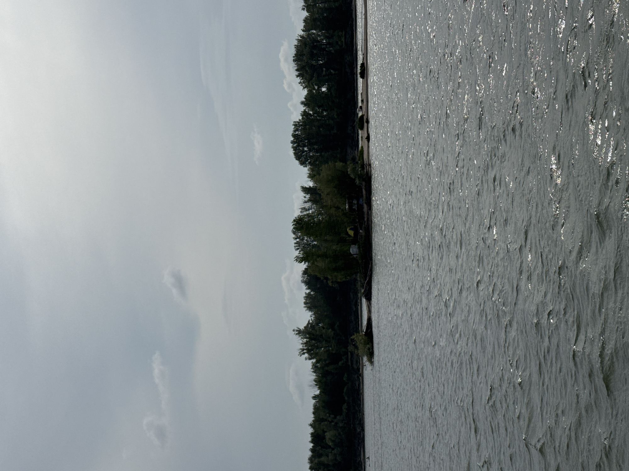 The image shows a wide, calm body of water under a cloudy sky. In the distance, a narrow strip of land is visible, covered with dense green trees. A small, sandy island with a few trees and some debris is situated in the foreground of this landmass. The water is dark and reflects the sky, with small ripples on its surface. The overall impression is one of a natural, somewhat wild landscape. The location is not identifiable as Novosibirsk, Russia.