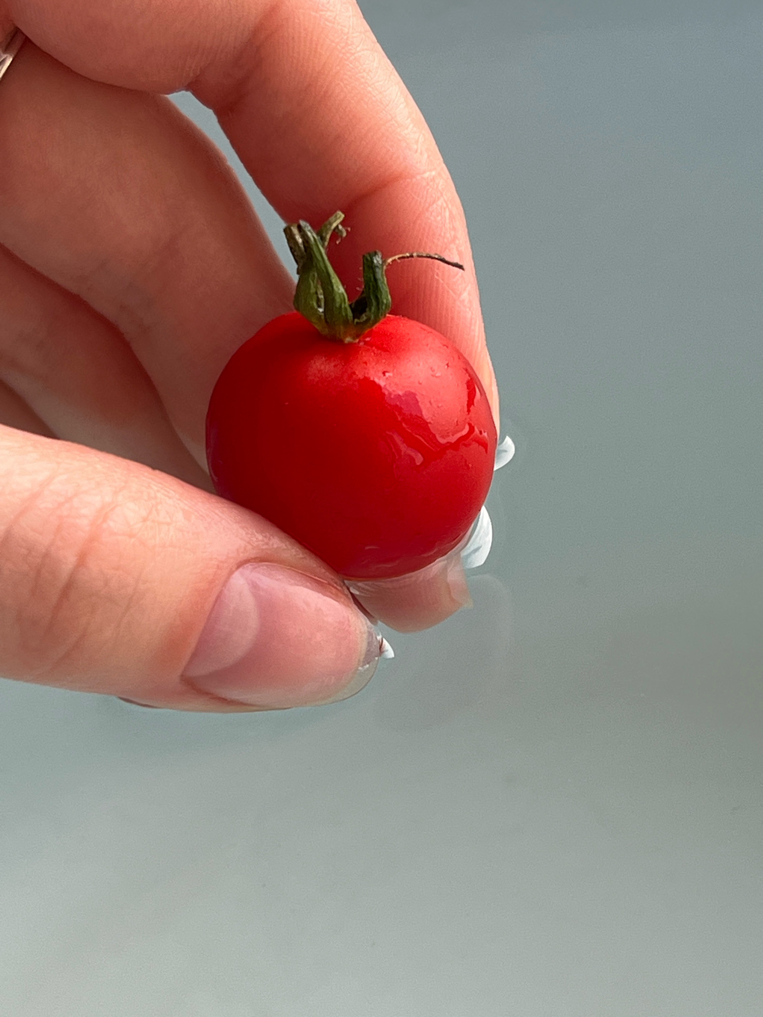 A close-up, shallow depth of field shot shows a human finger holding a single, small, bright red cherry tomato with a green stem. The tomato is glistening with water droplets and is partially submerged in a reflective, pale gray liquid. The background is out of focus, suggesting a blurred environment. The context of Orsha, Belarus, is not evident in the visual information provided.