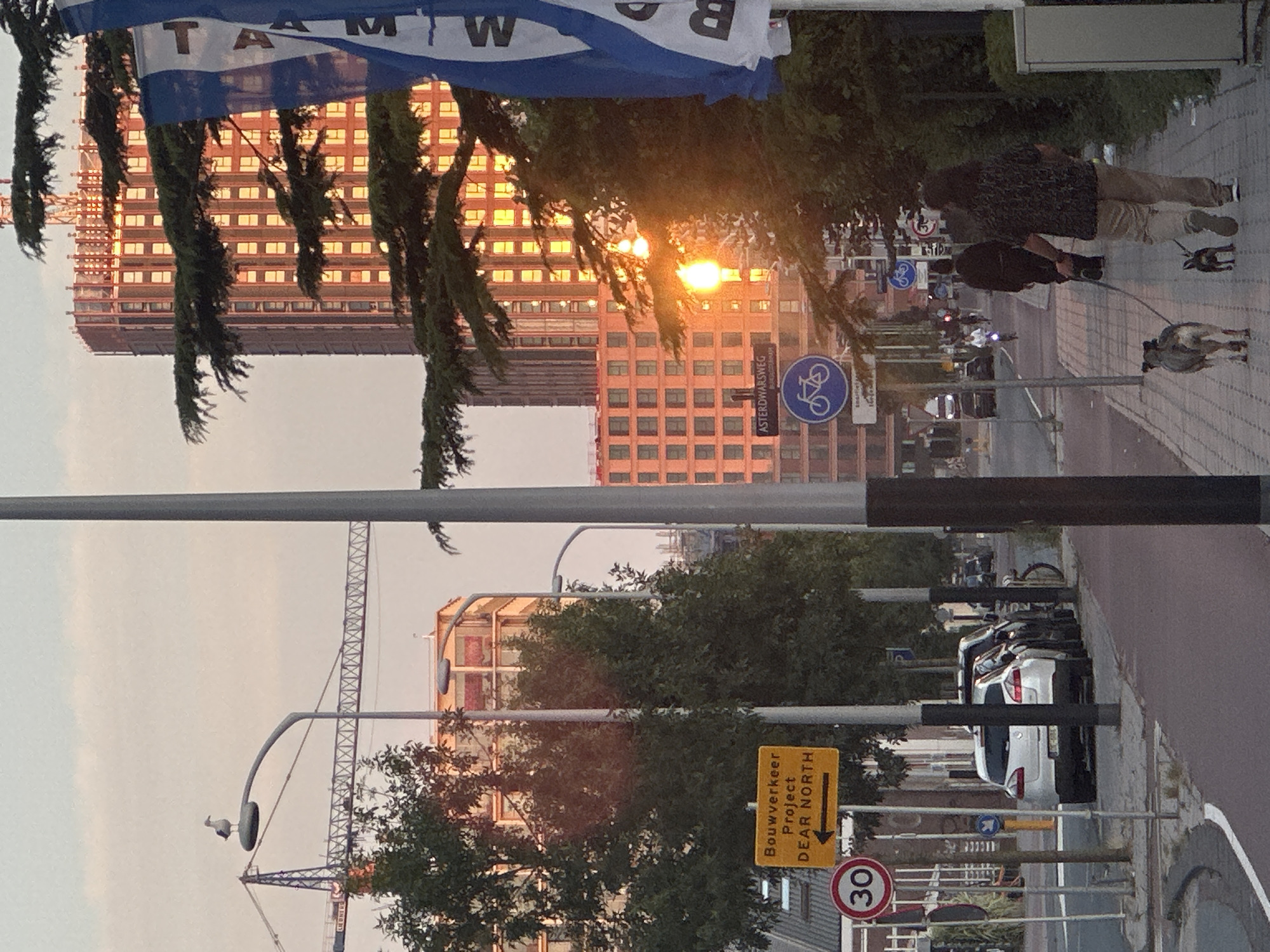 The image depicts a street scene in Amsterdam, Netherlands, during sunset. In the foreground, a person walks two dogs on leashes along a paved sidewalk. The person is wearing a patterned shirt and light-colored pants. Behind them, several cars are parked along the street. A yellow directional sign with Dutch text, "Bouwverkeer Project DEAR NORTH," indicating construction traffic and a project name, is visible. A "30" speed limit sign is also present.
In the middle ground, more trees and buildings are visible, with one building featuring a warm, orange glow from the setting sun. A street sign reads "ASTERDWARSWG." Bicycle path signs are also posted. Further in the background, a large construction crane is active, with a seagull perched on a lamppost. The sky is a pale orange and pink, characteristic of sunset. The overall scene captures a moment of urban life with elements of construction, traffic, and pedestrian activity under a colorful sky.