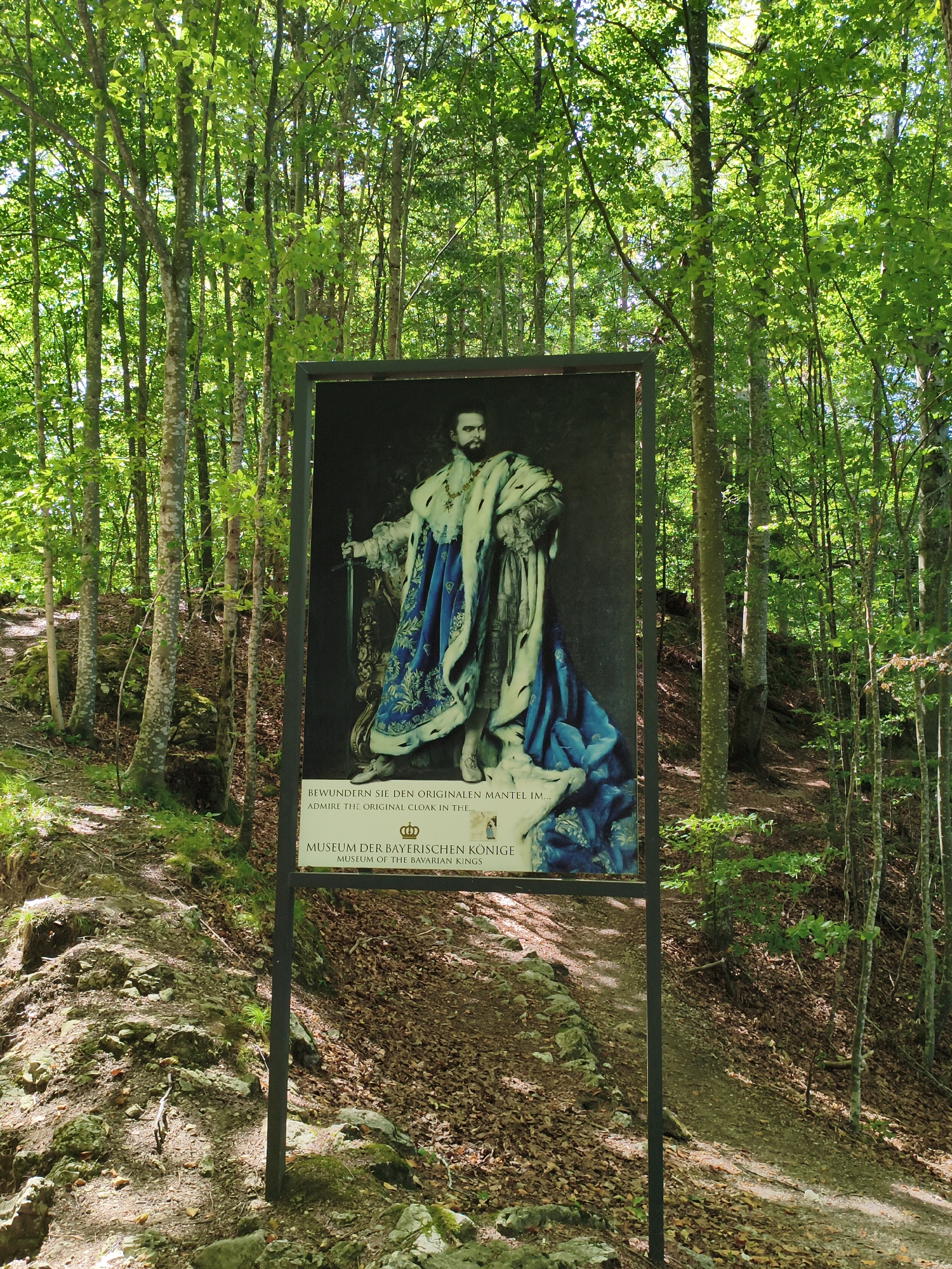 An outdoor informational sign featuring a reproduction of a portrait of a man in regal attire, including a blue and white cloak, is positioned on a dirt path in a forest. The sign has text in both German and English that reads "BEWUNDERN SIE DEN ORIGINALEN MANTEL IM... ADMIRE THE ORIGINAL CLOAK IN THE... MUSEUM DER BAYERISCHEN KÖNIGE MUSEUM OF THE BAVARIAN KINGS." The portrait is large and takes up most of the sign. The surrounding environment is a densely wooded area with trees, fallen leaves, and rocky terrain. The lighting suggests it is daytime with sunlight filtering through the tree canopy. This sign is located in Schwangau, Germany, near Neuschwanstein Castle.