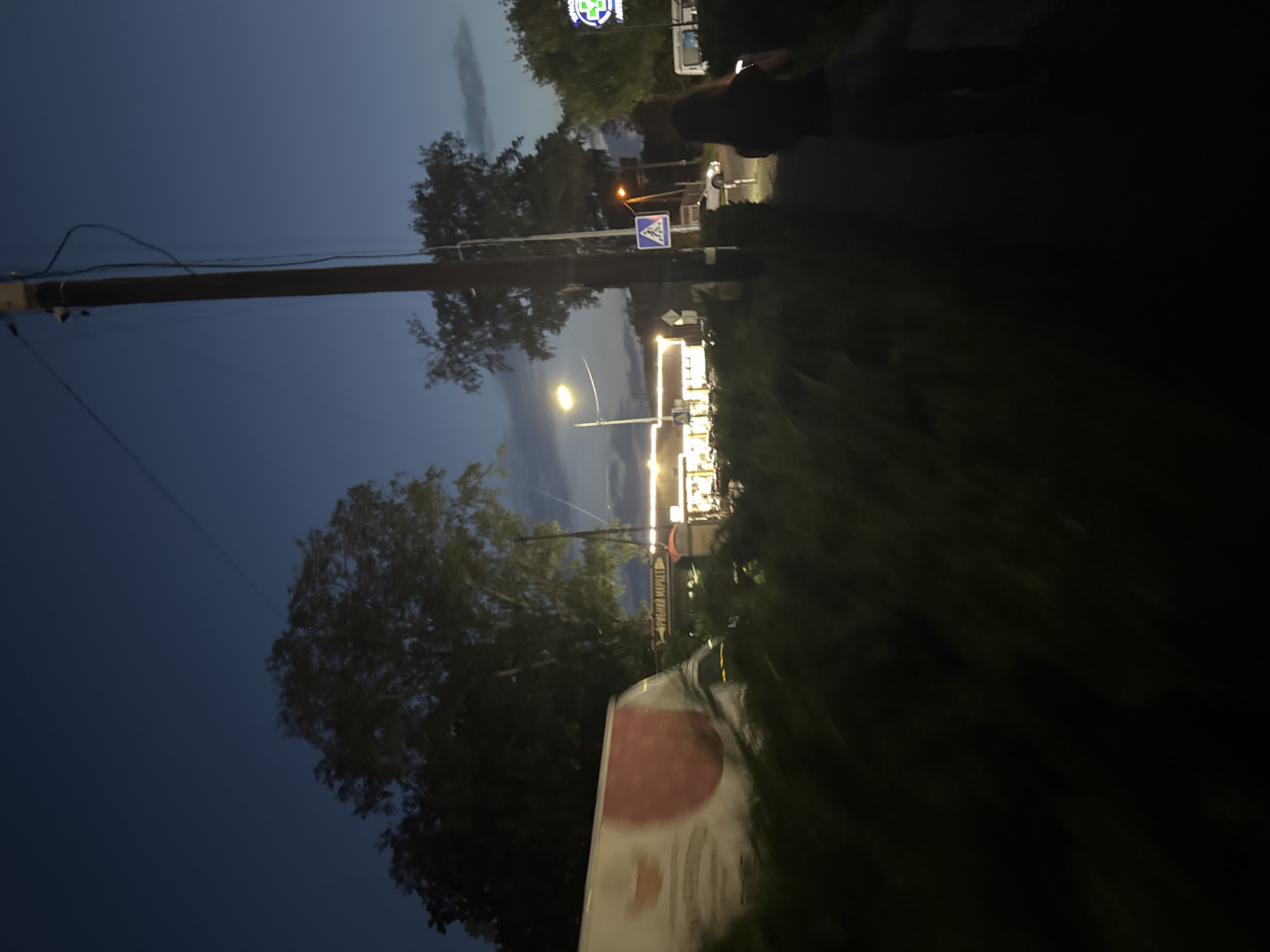 The image depicts a dimly lit street scene at dusk or night. On the left, a white truck with a red circular emblem is partially visible, blurred by motion. In the background, a strip of buildings with illuminated windows suggests a commercial area, possibly a market or shops, indicated by a sign with text that appears to read "РИБНЫЙ МАРКЕТ" (Fish Market). Several trees are present, casting shadows. A utility pole with wires stands prominently in the middle ground, near a pedestrian crossing sign. A person, silhouetted and facing away from the camera, walks along a paved path. The overall atmosphere is quiet and somewhat urban, with artificial lights from the buildings and streetlamps contrasting with the darkening sky.