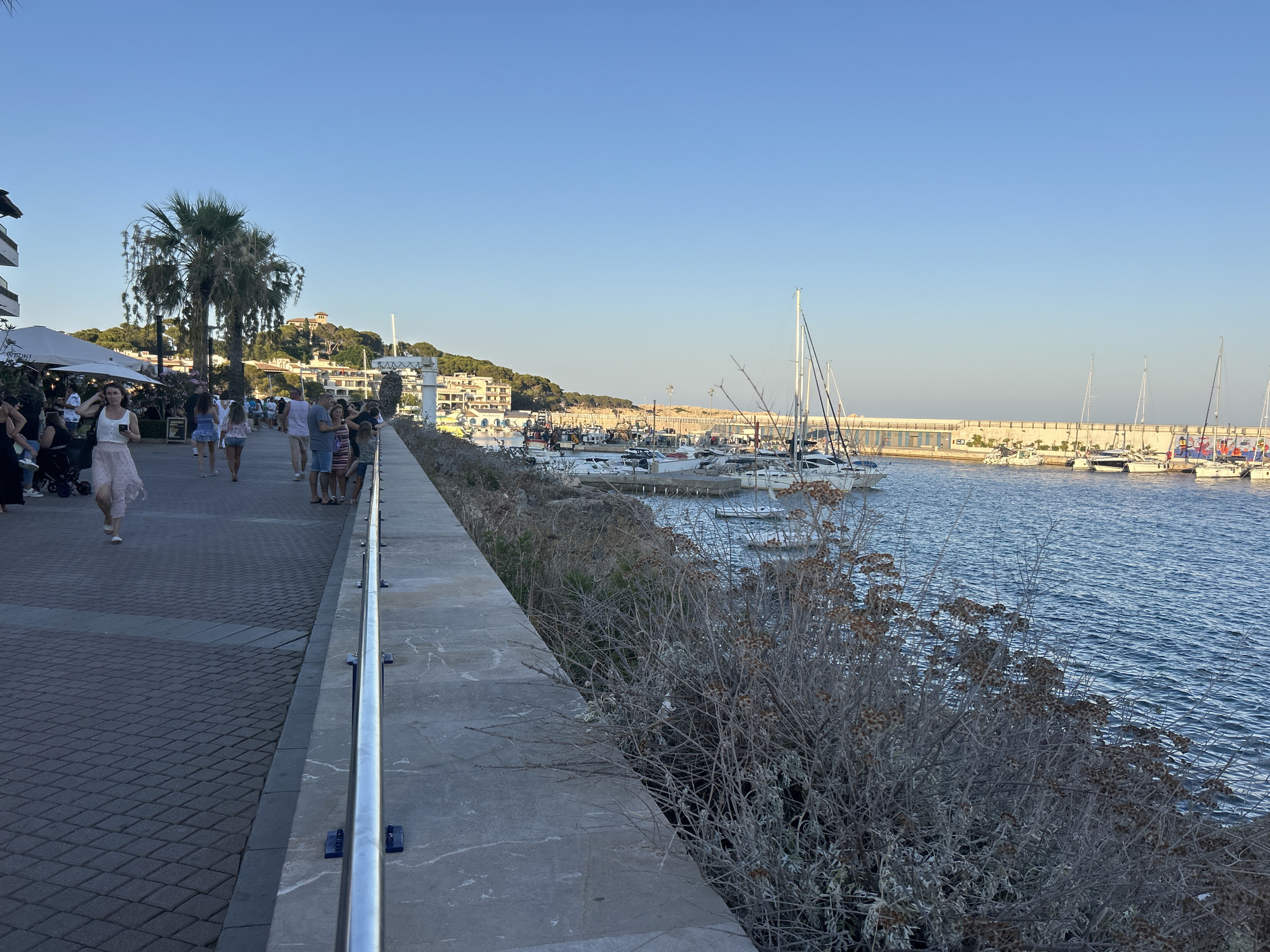 A sunny day in Cala Rajada, Spain, features a picturesque promenade with people strolling along a paved walkway. To the left, a building with a white canopy and outdoor seating suggests a restaurant or cafe. Several palm trees line the path, adding a tropical ambiance. Beyond the promenade, a harbor bustles with numerous sailboats and other vessels docked in the calm, blue water. In the background, buildings climb a gentle slope, and a long pier extends into the sea. The sky is a clear, vibrant blue, indicating pleasant weather.