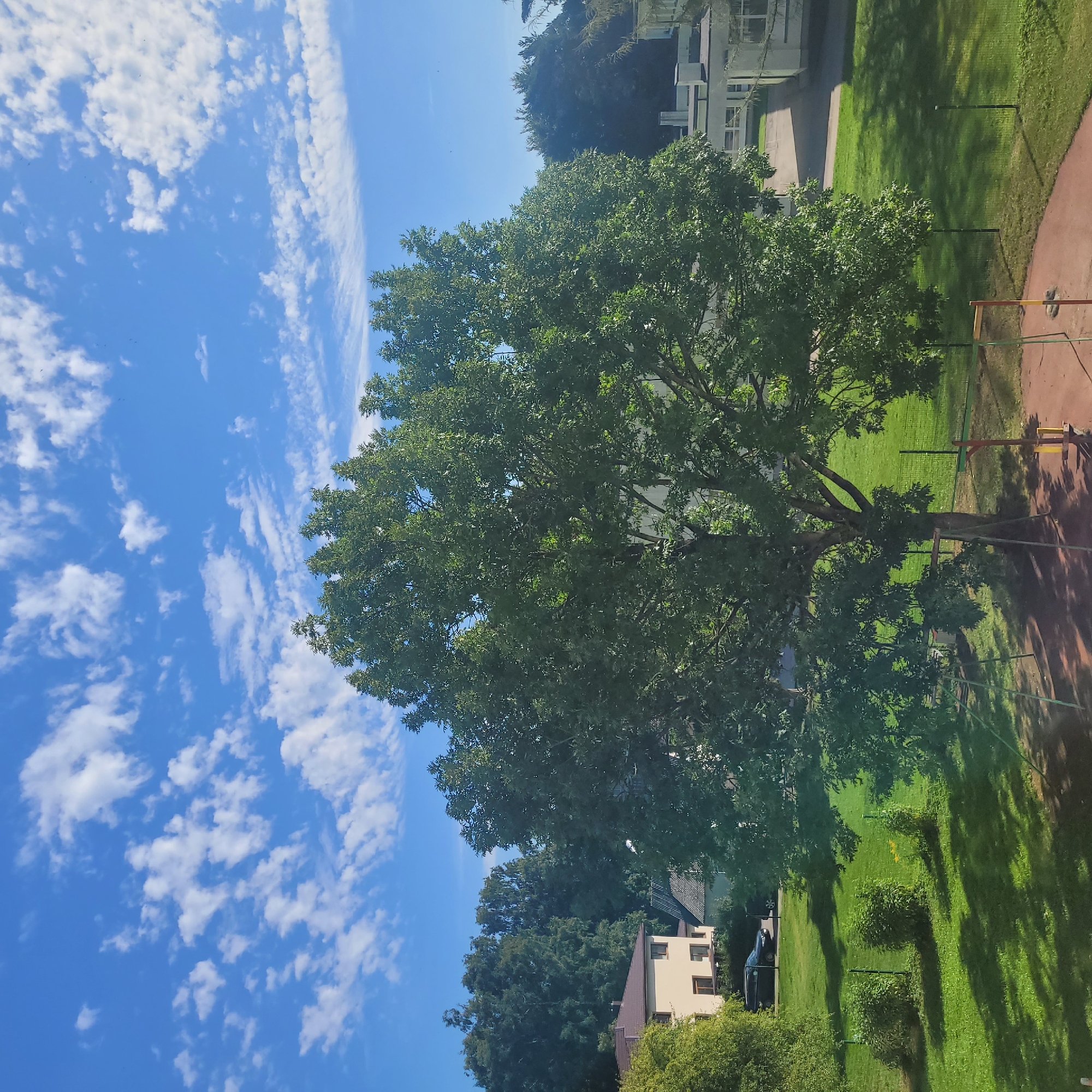 This is a vertically oriented, outdoor photograph taken on a sunny day in Jūrmala, Latvia. The image features a bright blue sky filled with scattered white, wispy clouds. A large, leafy green tree dominates the center of the frame, its branches casting dappled shadows on the lush green grass below. In the background, a light-colored building with multiple windows can be seen, partially obscured by trees. To the right of the tree, a section of a red, rounded surface, possibly a sports court, is visible. A yellow and orange pole, part of some playground equipment, is also present in this area. The overall scene suggests a peaceful, suburban or park-like setting during daylight hours. The sunlight indicates it is likely daytime, and the clear sky with clouds suggests fair weather. There is no discernible text in the image.