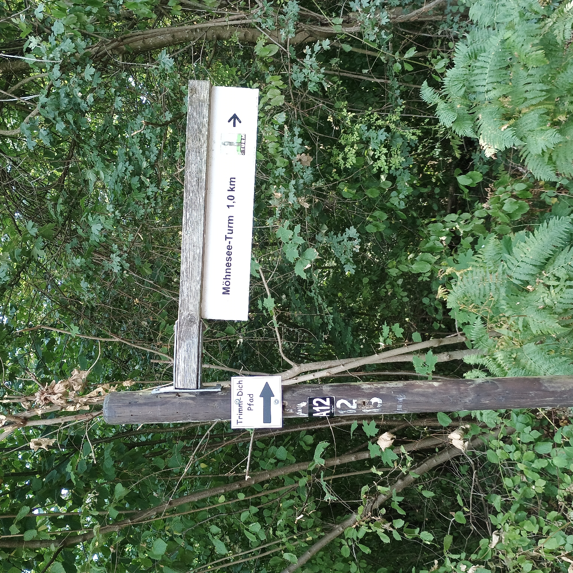In Möhnesee, Germany, a wooden signpost stands amidst dense green foliage. The signpost is made of weathered wood and is partially obscured by branches and leaves. Attached to the signpost are two directional signs. The top sign, a rectangular white board with a wooden frame, points to the right and reads "Möhnese-Turm 1,0 km" in dark blue lettering. To the left of the text, there is a small illustration of a tower and an arrow indicating the direction. Below this sign, a smaller square white sign with a dark border also points to the right and displays the text "Trimm-Dich Pfad" with a stylized running figure and a bold black arrow. The lower part of the signpost has a label with "A12" in black and white. The surrounding environment is a natural setting with trees and undergrowth, suggesting a walking or hiking trail.