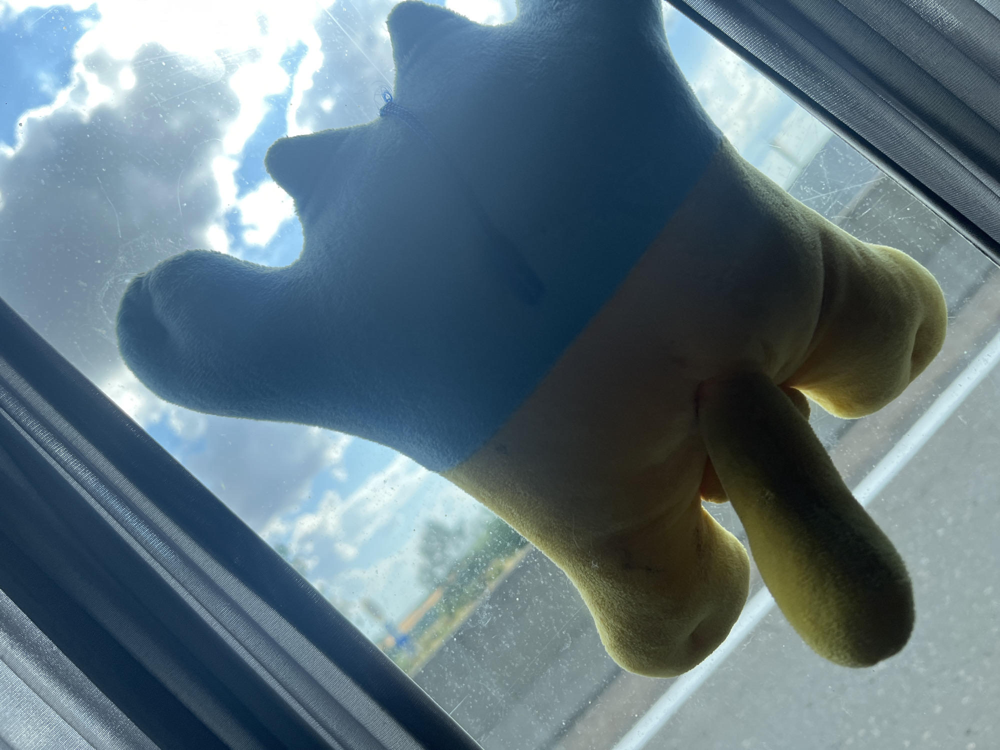 A stuffed toy, colored yellow and blue, is attached to the exterior of a window, with its back facing the camera. The toy is positioned at an upward angle, obscuring a portion of the sky, which is filled with white, fluffy clouds against a bright blue backdrop. To the left of the toy, a dark grey curtain is visible, pulled slightly to the side. The window appears to be dirty, with visible smudges and streaks. Outside the window, a glimpse of a road and green foliage can be seen, suggesting an outdoor environment, possibly alongside a highway. The overall lighting suggests it is daytime, with the sun partially visible through the clouds. The image does not provide specific geographical indicators that would allow for identification of the location within the city of Dachne, Ukraine.