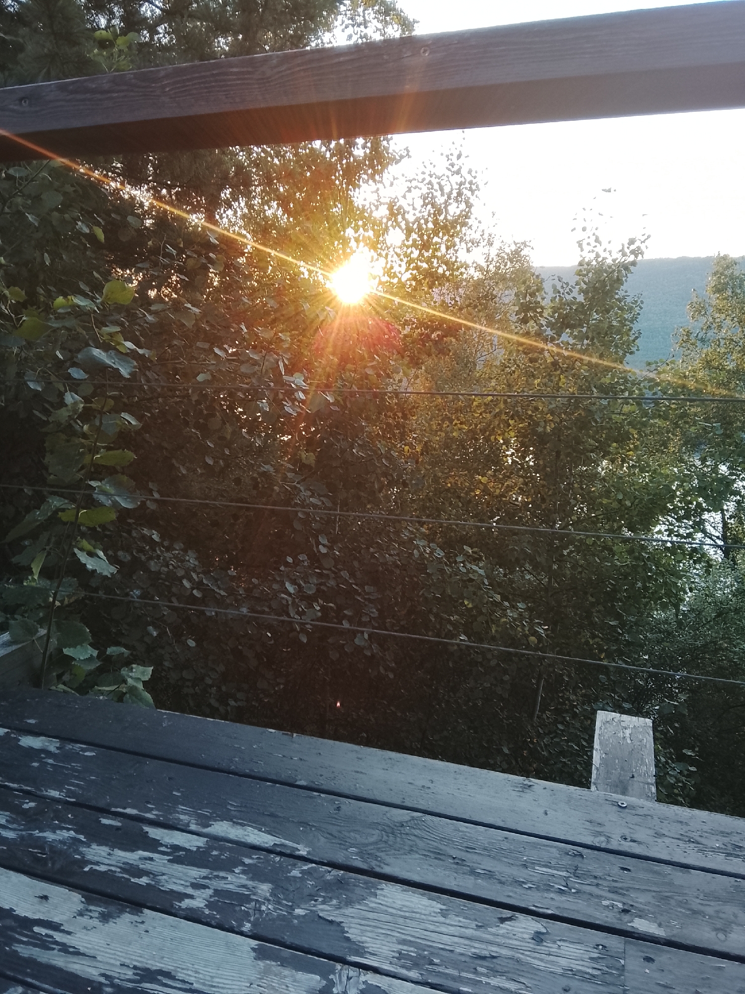 The image depicts a view from a weathered wooden deck, looking out towards a lush, tree-lined landscape bathed in the warm glow of a setting sun. The sun's rays, exhibiting a strong lens flare effect, break through the dense foliage of trees in the mid-ground. In the foreground, the dark, distressed wooden planks of the deck are visible, showing signs of age and wear, with peeling paint. Horizontal metal railings are also present, spanning across the scene and partially obscuring the view of the trees and the distant hills. The sky above is bright and washed out, characteristic of a sunset. The overall impression is one of a natural, serene setting, possibly a private balcony or porch overlooking a forested area. The mention of Ust'-Mana, Russia, suggests this is a depiction of a natural landscape within that region.