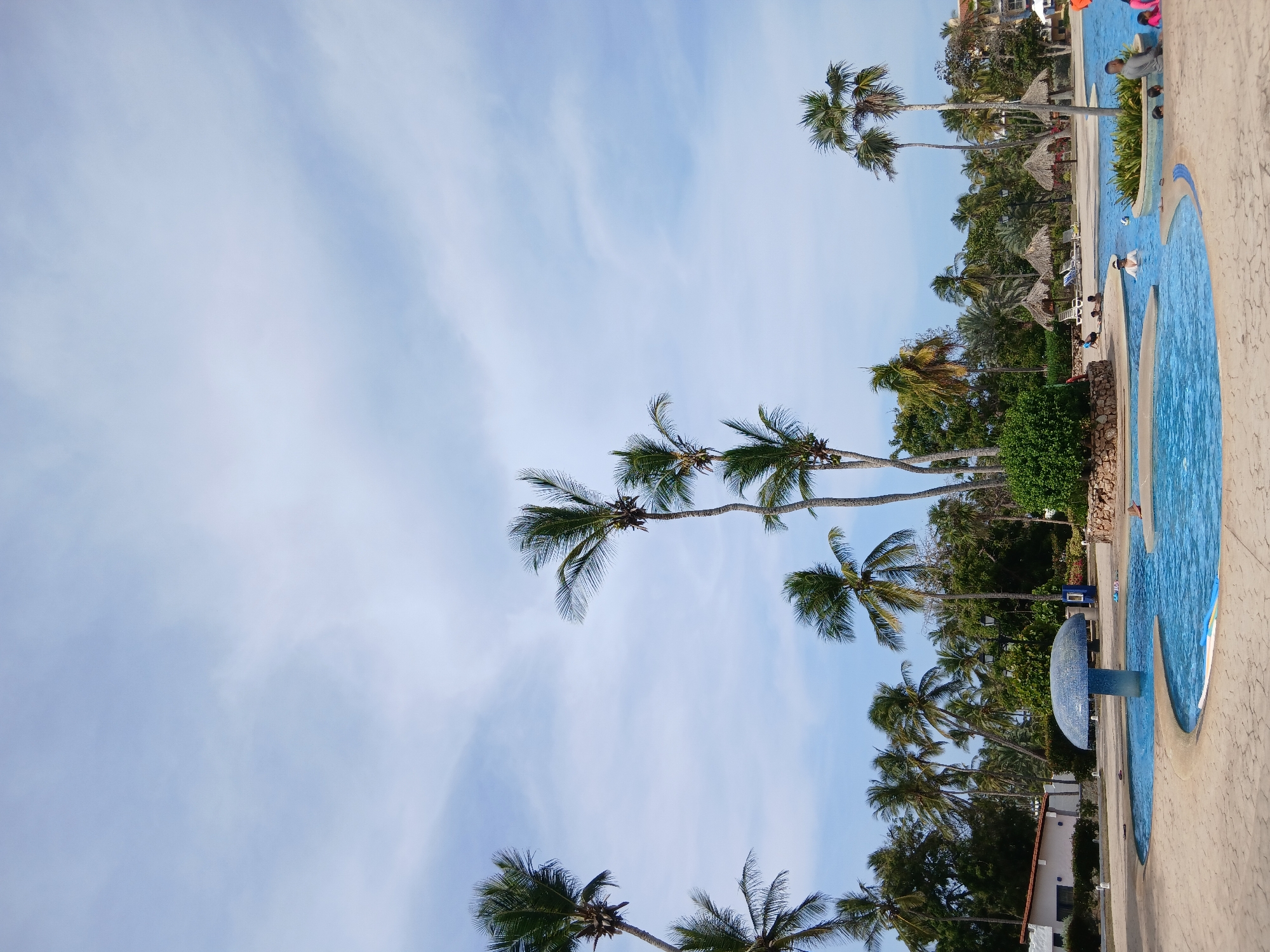The image depicts a sunny scene at a resort in Playa El Agua, Venezuela. A blue swimming pool with an irregular shape is visible on the right side of the frame. People are scattered around the pool and some are swimming. Palm trees are prominent, reaching upwards towards a blue sky with thin clouds. Thatched-roof umbrellas are interspersed among the palm trees, providing shade. The environment suggests a tropical, vacation setting.