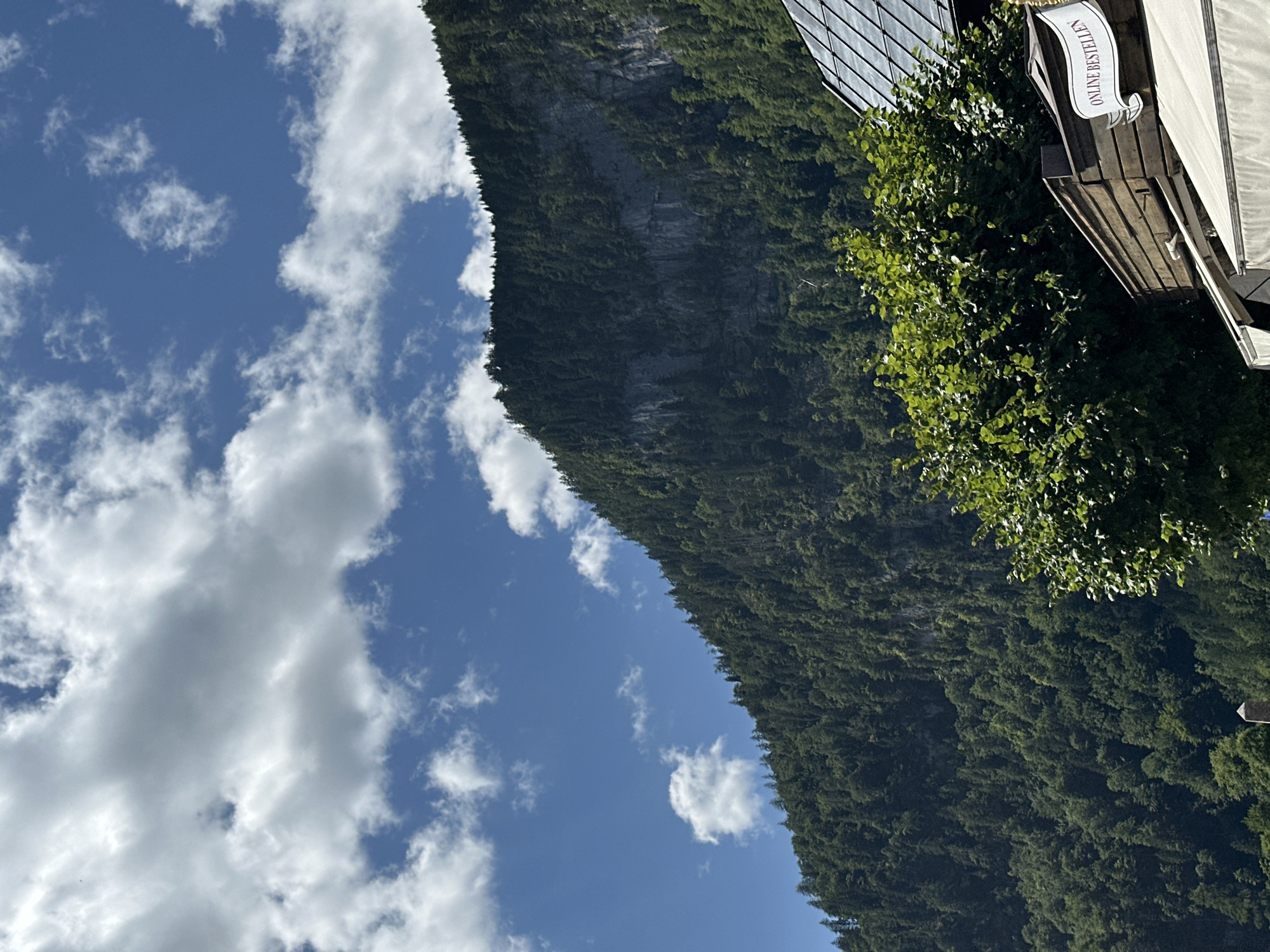 The image depicts a view looking upwards towards a forested mountain in Schönau am Königssee, Germany. In the foreground, the upper section of a building with a sloped, dark roof and wooden siding is visible. A white banner with the German text "ONLINE BESTELLEN" (Order Online) is attached to the building. A large, leafy green tree occupies the space between the building and the mountain. The mountain itself is densely covered with green trees, with a rocky, lighter-colored cliff face partially visible near the top. The sky above is blue with scattered white clouds.