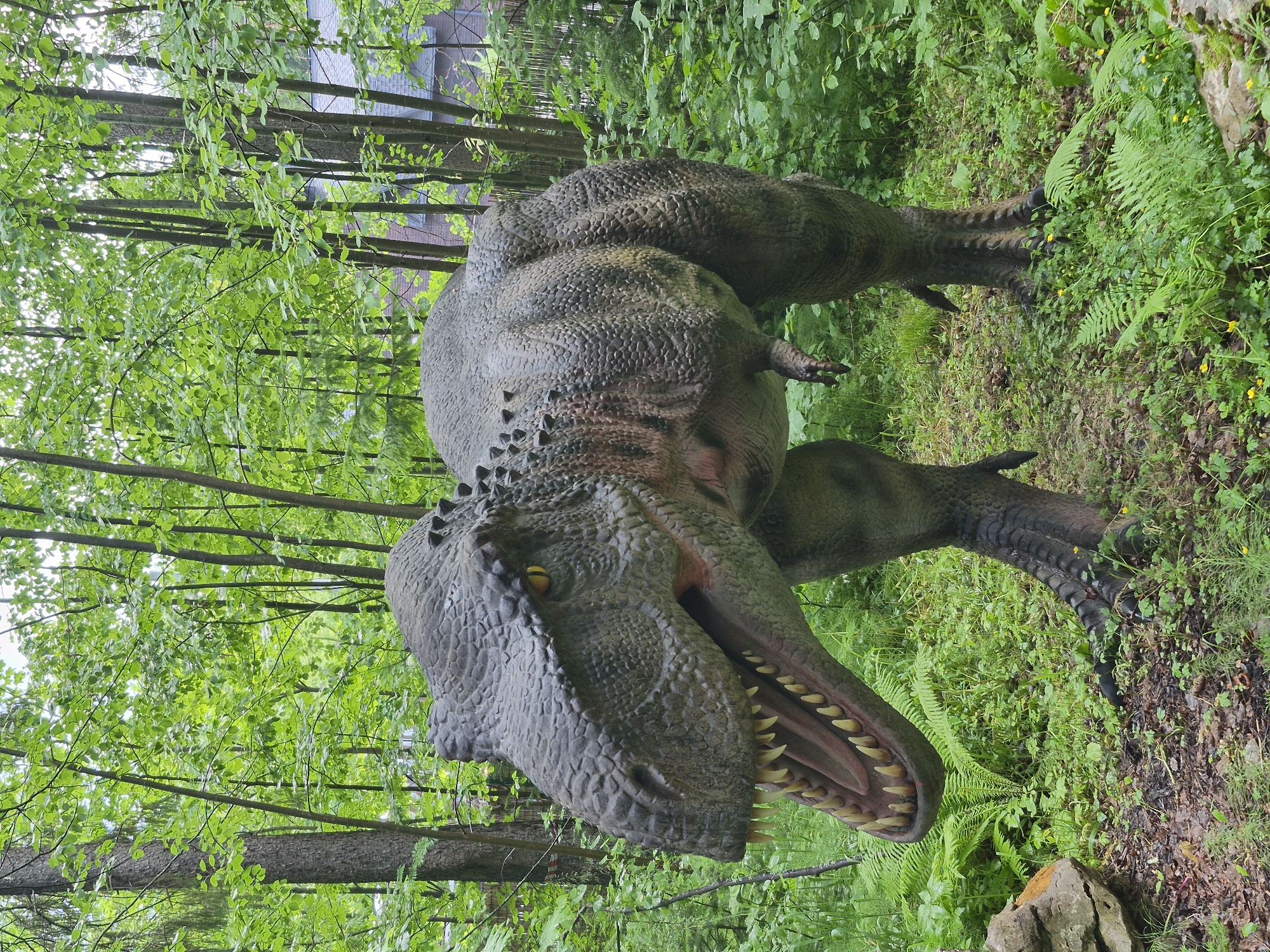 The image shows a life-size replica of a Tyrannosaurus Rex dinosaur standing in a wooded area. The dinosaur is positioned in the center of the frame, facing left with its mouth open, revealing sharp teeth. Its skin is textured and appears to be a mottled gray and brown. The surrounding environment is lush and green, with tall trees and dense foliage, including ferns and small yellow flowers on the ground. The ground is covered in leaves and mud. In the background, partially visible through the trees, is a building with a dark roof. The scene appears to be an outdoor exhibit. While the location is stated as the city of Izhevsk, Russia, there is no visual information within the image to confirm this specific location.