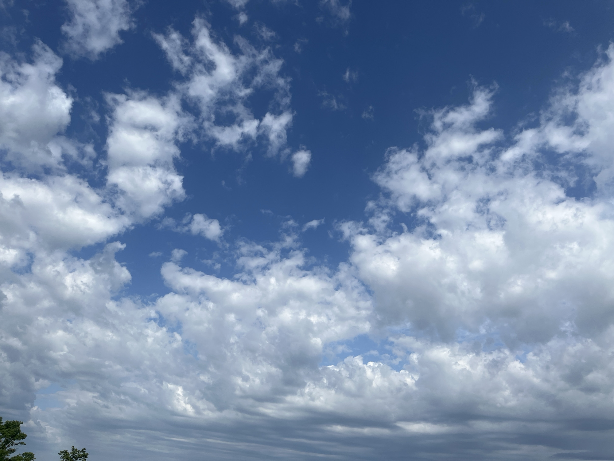 The image shows a daytime sky with scattered clouds over an unknown location in the city of Chetuk, Russia. The upper portion of the image features patches of blue sky interspersed with small, white cumulus clouds. The lower portion displays denser, gray-toned clouds, some appearing striated. A small section of green trees is visible in the extreme lower-left corner. No people, actions, or interactions are apparent.