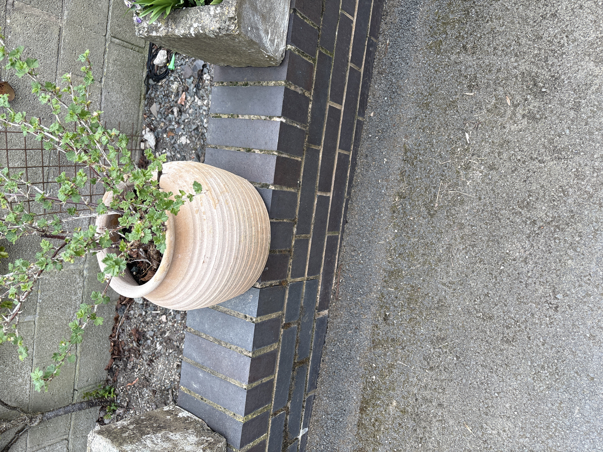 The image shows a view from above of a garden area in Shrewsbury, United Kingdom. A large, ribbed, terracotta pot with a plant is positioned near a dark grey brick wall. The bricks are laid in a standard pattern, and a concrete block sits atop the wall. Adjacent to the wall is a grey concrete surface with a fine, speckled texture, likely a pathway or driveway. The surrounding area appears to be a mix of gravel and concrete. The overall scene is of a well-maintained, though potentially modest, garden space.