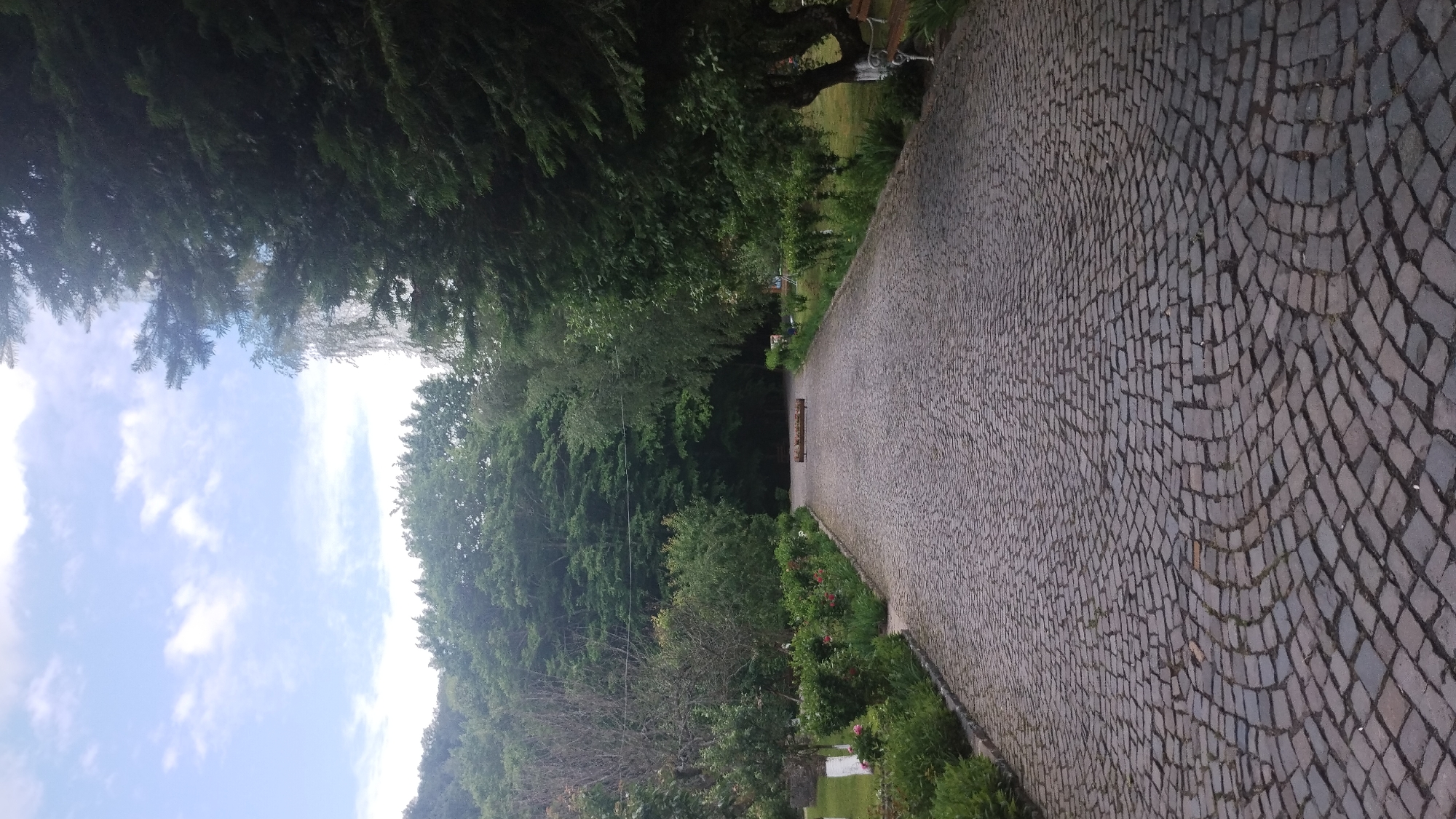 The image shows a cobblestone path curving through a lush green landscape. Tall trees line the left side of the path, their dense foliage creating a canopy that dapples the ground with shade. To the right of the path, more trees and shrubs are visible, interspersed with patches of grass. A park bench can be seen under a large tree, suggesting a place for rest and contemplation. The sky above is blue with scattered white clouds. The scene appears to be a tranquil park or garden setting. The path itself is paved with grey cobblestones, laid in a curved pattern that leads the eye deeper into the scene. The time of day appears to be daytime, with bright but not harsh lighting, suggesting it could be morning or afternoon. The weather seems pleasant, with clear skies and verdant greenery. There is no visible text in the image. The overall mood is peaceful and serene.