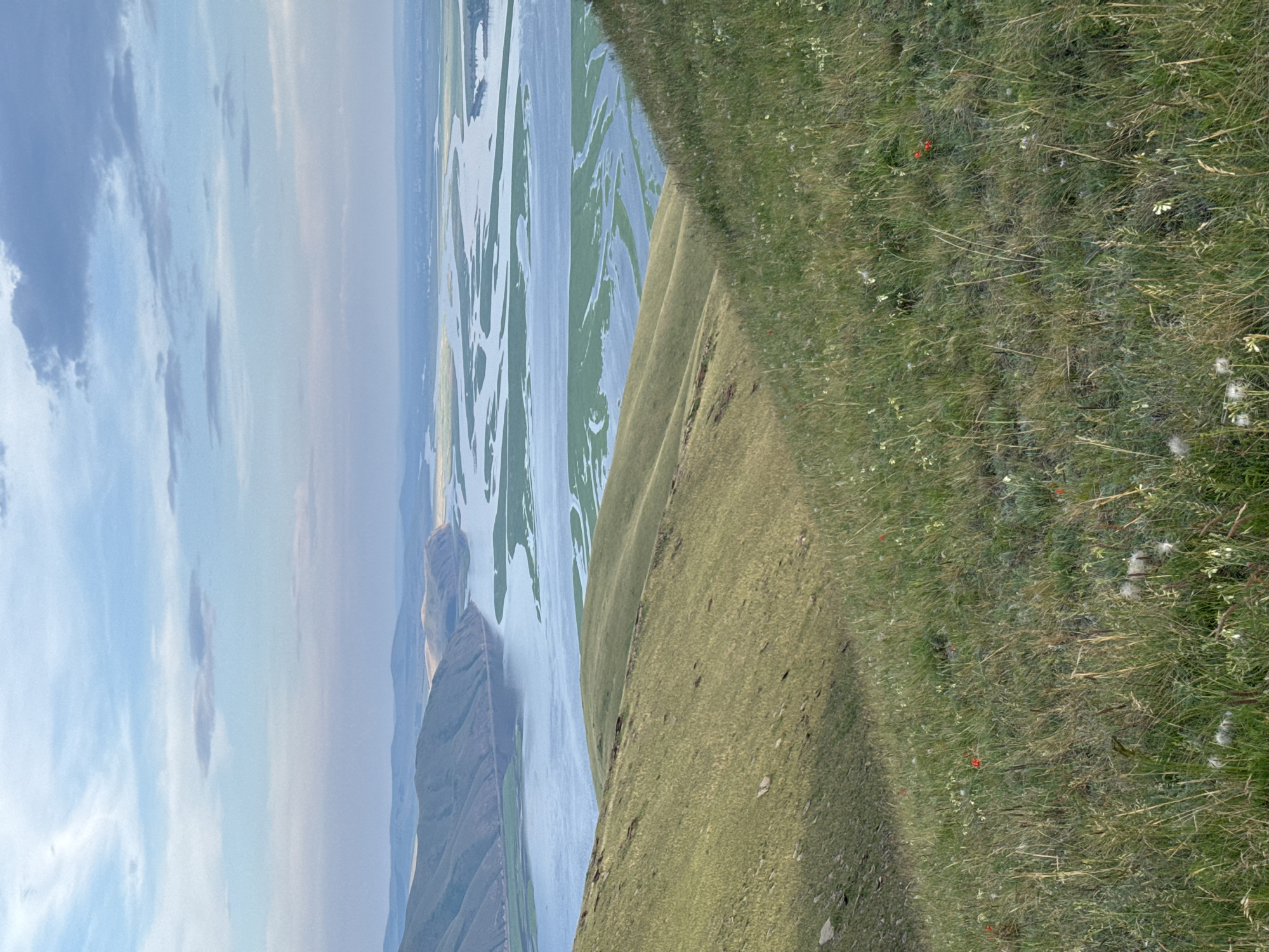 This image depicts a panoramic view of a vast river delta with numerous channels and islands of green vegetation, likely reeds or marsh grasses, interspersed with the calm, reflective water. The scene is framed by rolling, grassy hills in the foreground, leading the eye towards the expansive river system and the distant, hazy horizon. The sky is a soft gradient of blue and pink, with scattered clouds, suggesting it is either dawn or dusk. A few small red flowers are visible in the dense green grass on the slopes of the hills. The overall impression is one of a serene and natural landscape. The location is likely near Ust'-Abakan, Russia, given the presence of a wide river delta and surrounding hills, which is characteristic of the area where the Yenisei River widens significantly. There are no people, animals, or man-made structures prominently visible in the image.