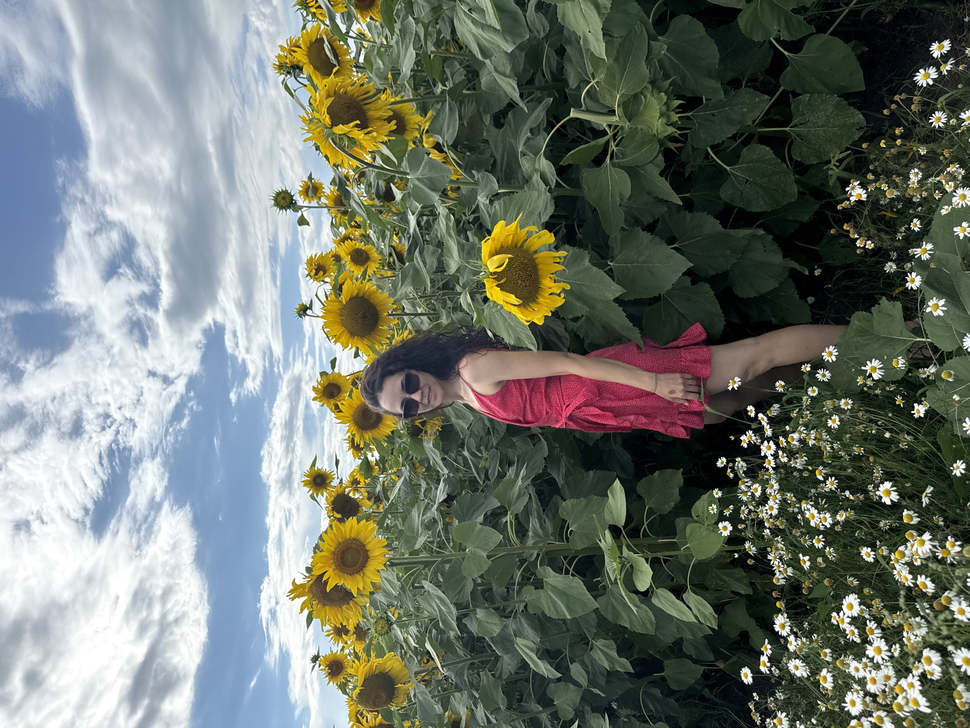 A young woman with long, dark, curly hair stands in a field of sunflowers and daisies under a cloudy sky. She is wearing a red, polka-dotted sundress and sunglasses. She is smiling and looking towards the camera. The sunflowers are tall and yellow, and the daisies are small and white. The sky is a mix of blue and white clouds. The image appears to be taken in a rural area, possibly on a farm or in the countryside. The location provided is Песчано-Коледино, Russia.