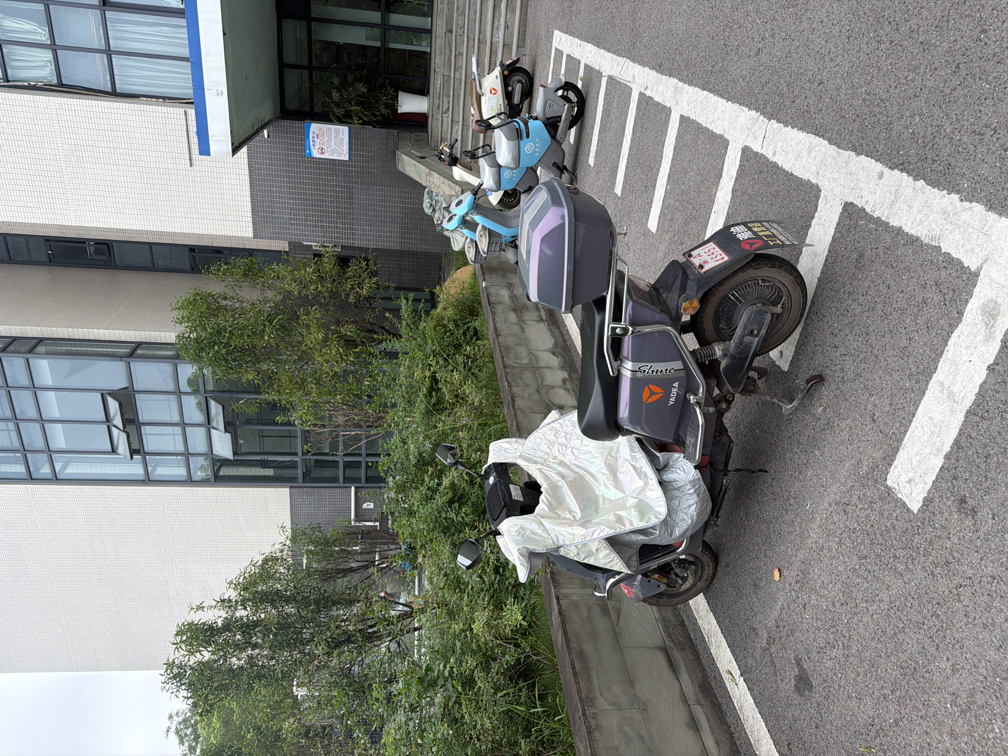 The image shows a row of parked electric scooters in front of a modern building in Jiangjin, China. The building has a light-colored tiled facade and large glass windows. In the foreground, a dark-colored electric scooter is parked and covered with a reflective sheet. Next to it, another scooter with a purple storage box is visible. Further down the row, a light blue scooter and two cream-colored scooters are parked. The scooters are arranged in designated parking spots marked with white lines on the asphalt. Lush green foliage lines the wall behind the scooters. A sign with Chinese text and a red smoking prohibition symbol is posted on the building's wall near the entrance. The sky appears overcast.