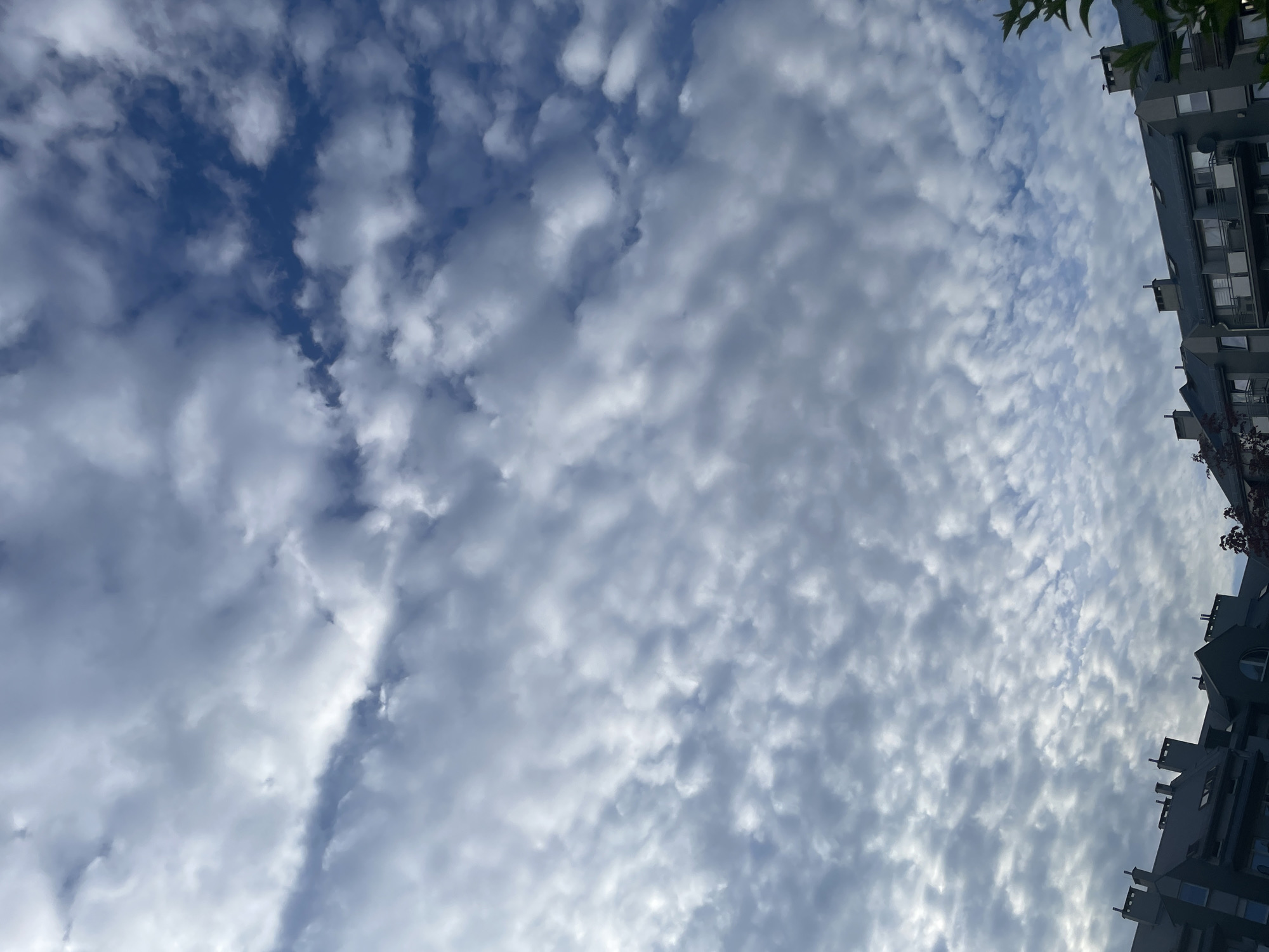 The image shows a view looking up at a sky filled with patchy clouds, with some areas of blue sky visible. In the upper right corner of the frame is a portion of a building, possibly an apartment complex, with visible windows and architectural details. Some greenery is also visible at the very top edge of the frame, possibly from trees or shrubs near the building. The location is Unknown, Unknown.