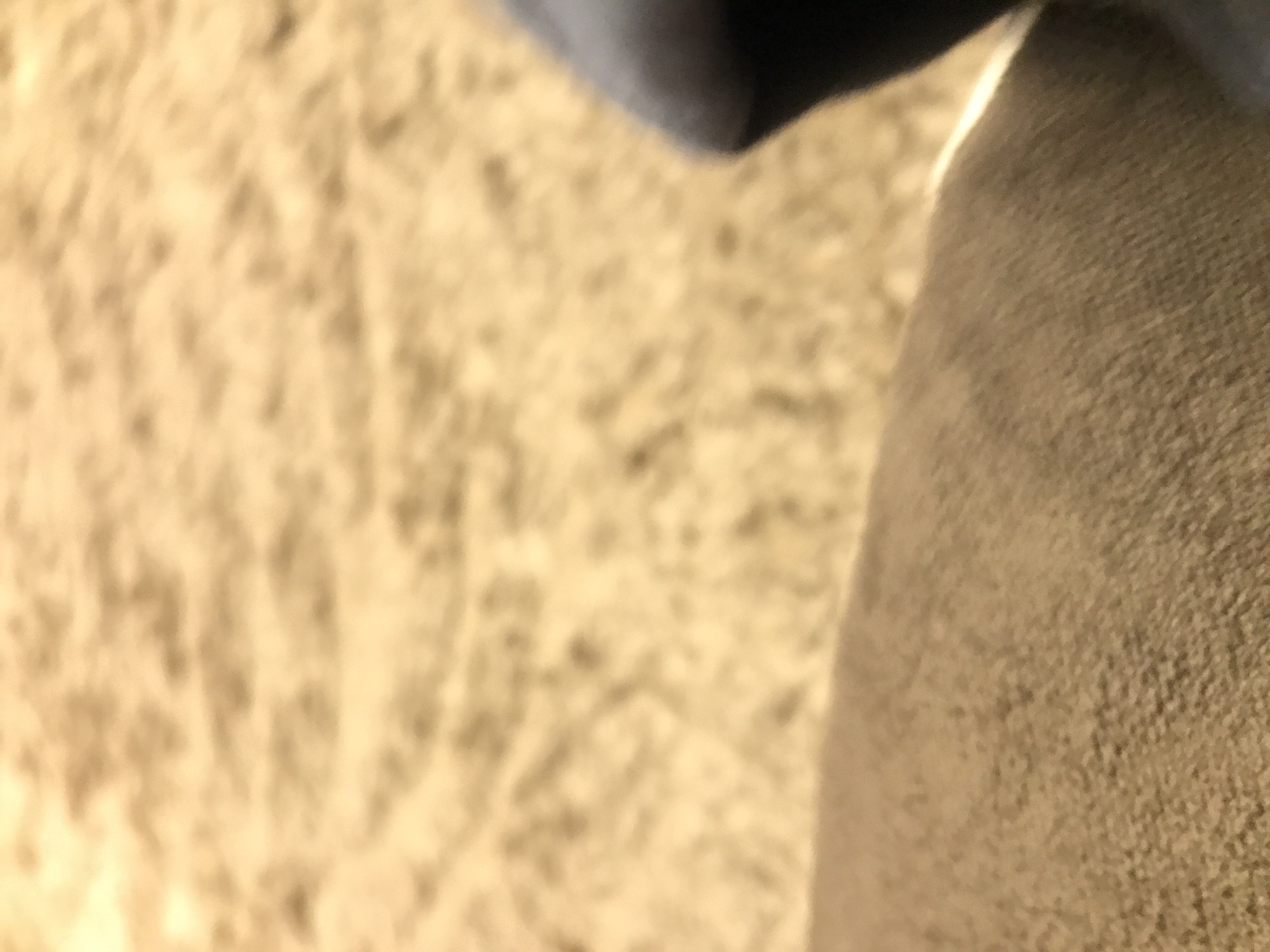 The image shows a close-up of carpet or rug, with a blue and grey fabric object in the upper portion of the frame. The location is not discernible from the image. The city of Yerevan, Armenia, cannot be confirmed as the location based on visual elements. No people, actions, or interactions are visible.