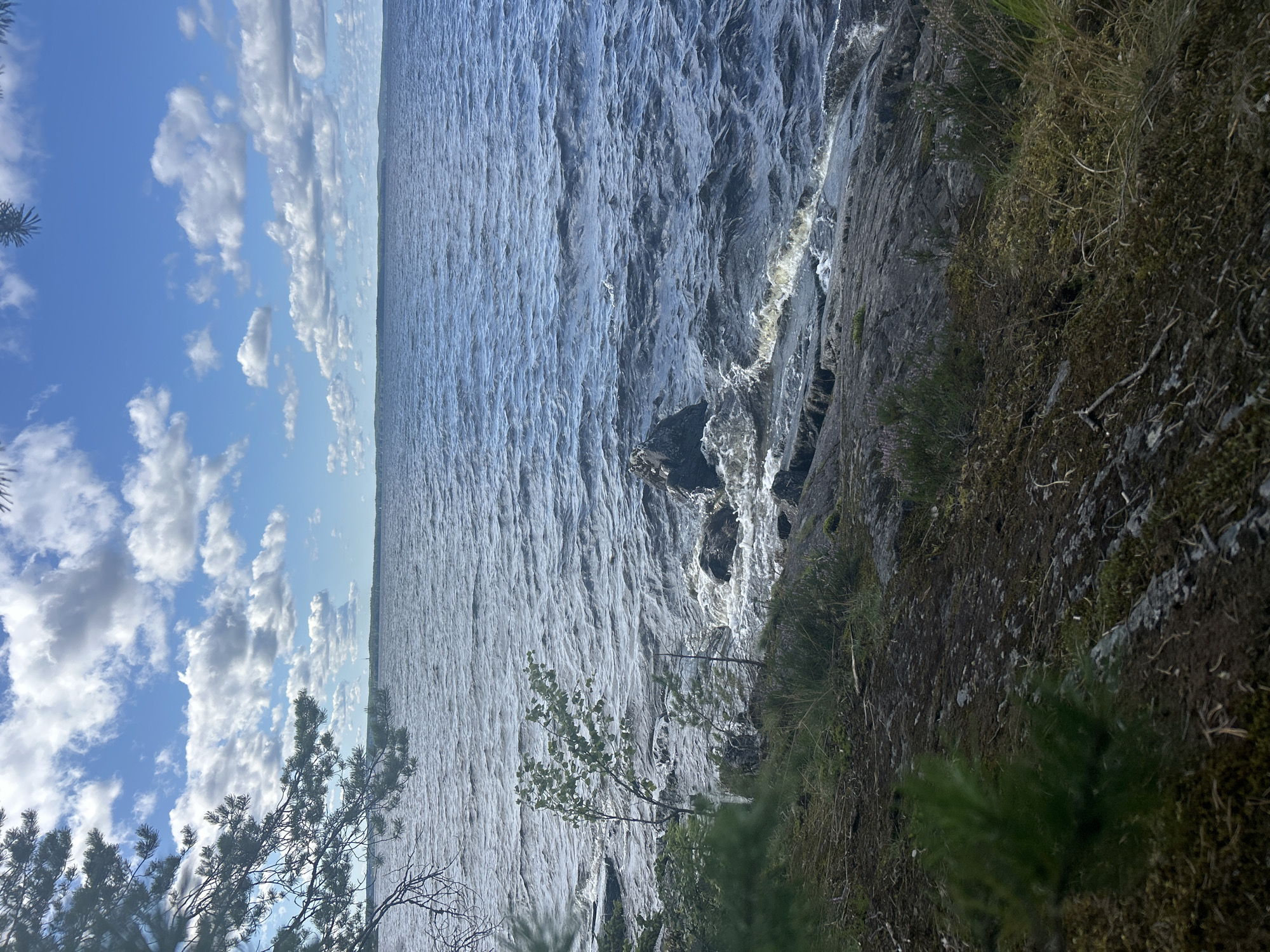 The image captures a natural scene of a lake shore on a cloudy day. In the foreground, a rocky, moss-covered embankment slopes down towards the water. Small green plants and some dry twigs are scattered across the ground. A few small trees and shrubs are visible growing on the rocks near the water's edge. The lake itself occupies the midground and background, with its surface rippled by the wind. The water is a deep blue-gray, reflecting the cloudy sky. In the distance, a faint green treeline marks the opposite shore of the lake, with a few indistinct structures visible beyond it. The sky is a vibrant blue, dotted with fluffy white clouds. The image does not contain any people, buildings, or urban elements, suggesting it was taken in a natural or park-like setting outside of the city center. While the image depicts a lake, specific landmarks within the city of Tampere, Finland, are not identifiable.