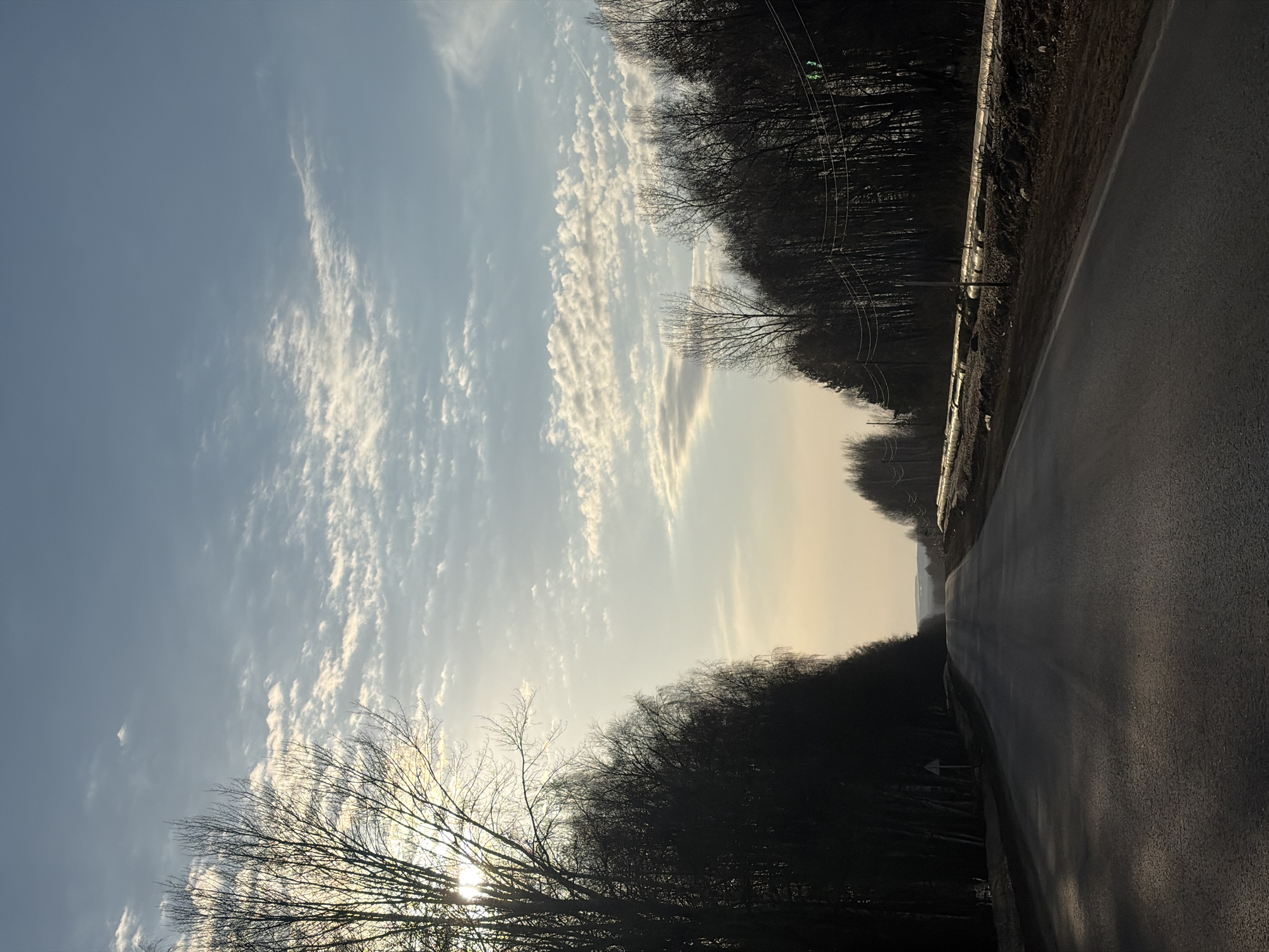The image depicts a road in a rural area, likely near or within the city of Ольховка, Russia. The road is asphalt and appears to be wet or damp. On either side of the road are trees and vegetation, with the trees appearing bare, suggesting it is either late fall, winter or early spring. The sky is visible with a combination of blue sky and clouds, some of which are striated. The sun is partially obscured by trees. There is a guardrail visible along part of the road. The lighting is subdued, possibly indicating it is early morning or late afternoon. There are utility lines visible on one side of the road, running parallel to it.