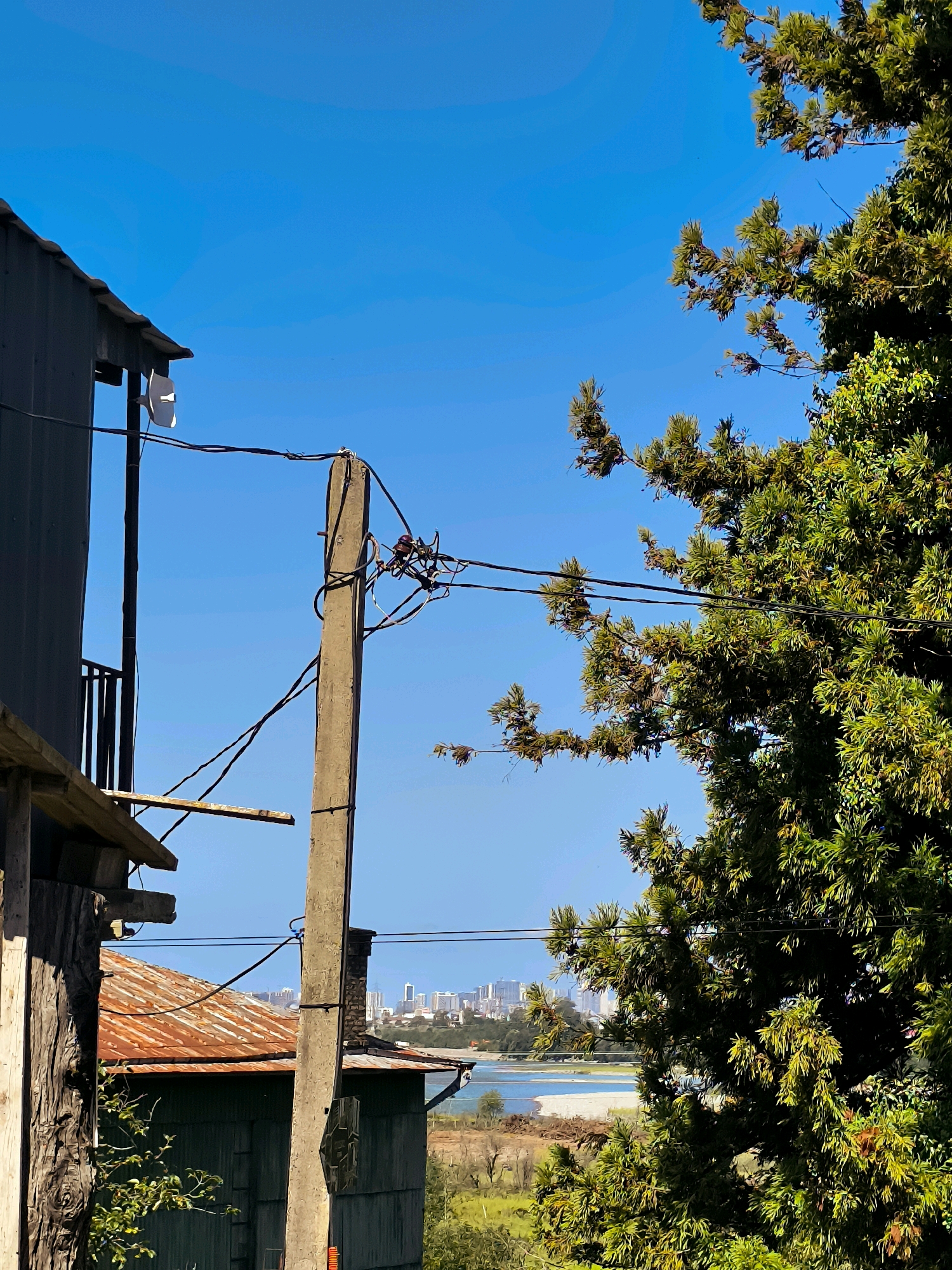 The image depicts a view looking towards the city of Erge, Georgia, on a clear, sunny day with a bright blue sky. In the foreground, on the left, is the side of a dark gray, corrugated metal building with a section of a rusty tin roof visible. To the right of this building, a rough wooden beam extends outwards from a vertical wooden post. A concrete utility pole stands prominently in the center of the frame, supporting a tangle of black electrical wires and what appear to be insulators and junction boxes. Further to the right, a large, dense evergreen tree with dark green foliage fills a significant portion of the right side of the image.
In the mid-ground, beyond the utility pole and the tree, a body of water, possibly a bay or river, is visible. Across the water, the city of Erge unfolds, characterized by a cluster of modern, light-colored buildings, including what appear to be high-rises, situated on a gentle incline. The landscape between the foreground structures and the city is dotted with scattered greenery and some brown, dry vegetation. The overall scene conveys a sense of rural proximity to an urban coastal environment. There are no people visible in the image.