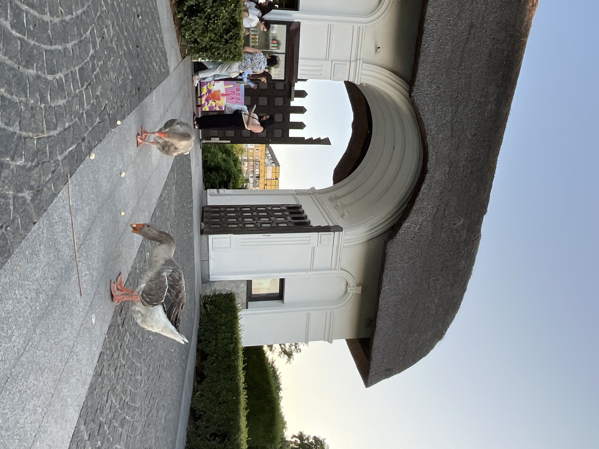 In Dnipro, Ukraine, two geese forage on a paved walkway in front of a building with a thatched roof and an arched entrance. Several people are visible near a kiosk selling bubble tea. The building features white ornate architecture, and a dark, ornate gate is to the right. Lush green hedges border the walkway and the building. The sky is clear and pale blue, indicating it is likely late afternoon or early evening.