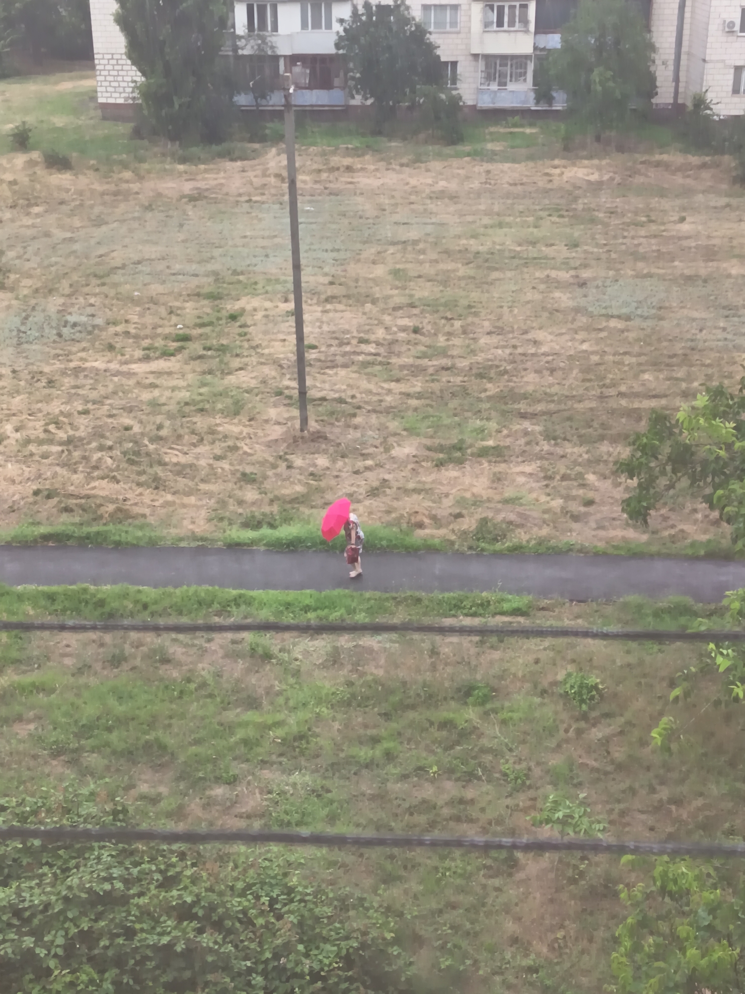 An individual walks alone on a paved path with a bright pink umbrella, set against a backdrop of dry, overgrown grass and a multi-story building. The scene is likely in Izmail, Ukraine, given the architectural style and vegetation. The individual is walking away from the camera. A utility pole stands to the right of the path, and the foreground is partially obscured by what appear to be wires. The overall impression is one of a quiet, overcast day.