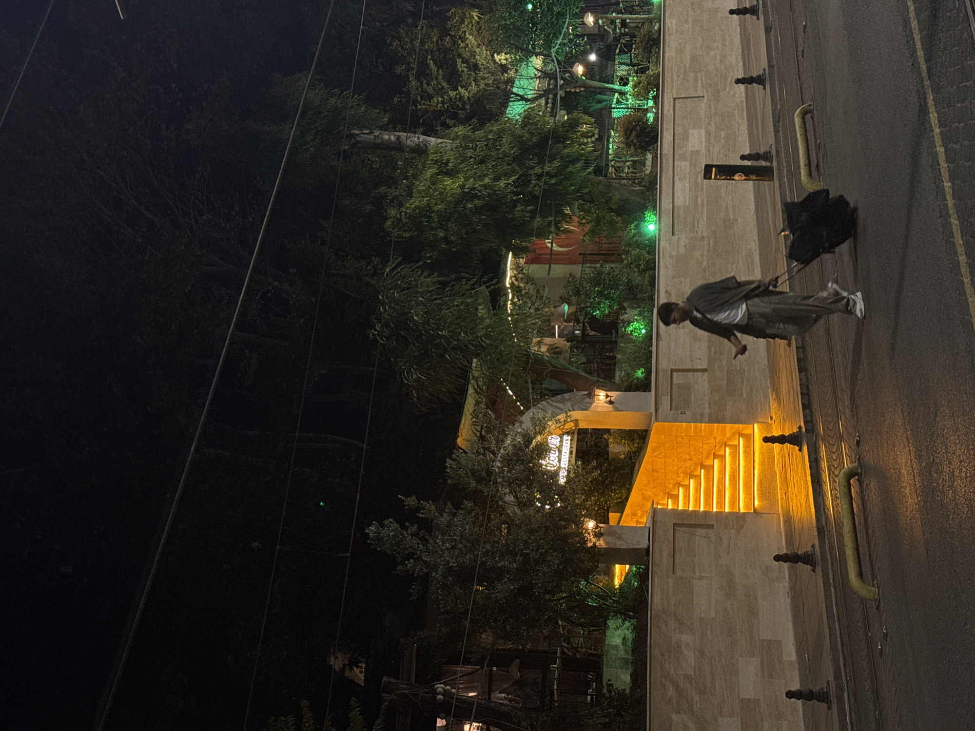 A young man in casual clothing is walking on a street at night, pulling a black suitcase. He is on a sidewalk next to a road with tram tracks. Behind him is a building with illuminated stairs leading up to an arched entrance. The building appears to be a restaurant or cafe, with green lights illuminating trees and foliage. The overall impression is an urban scene at night, with a traveler moving through the city.