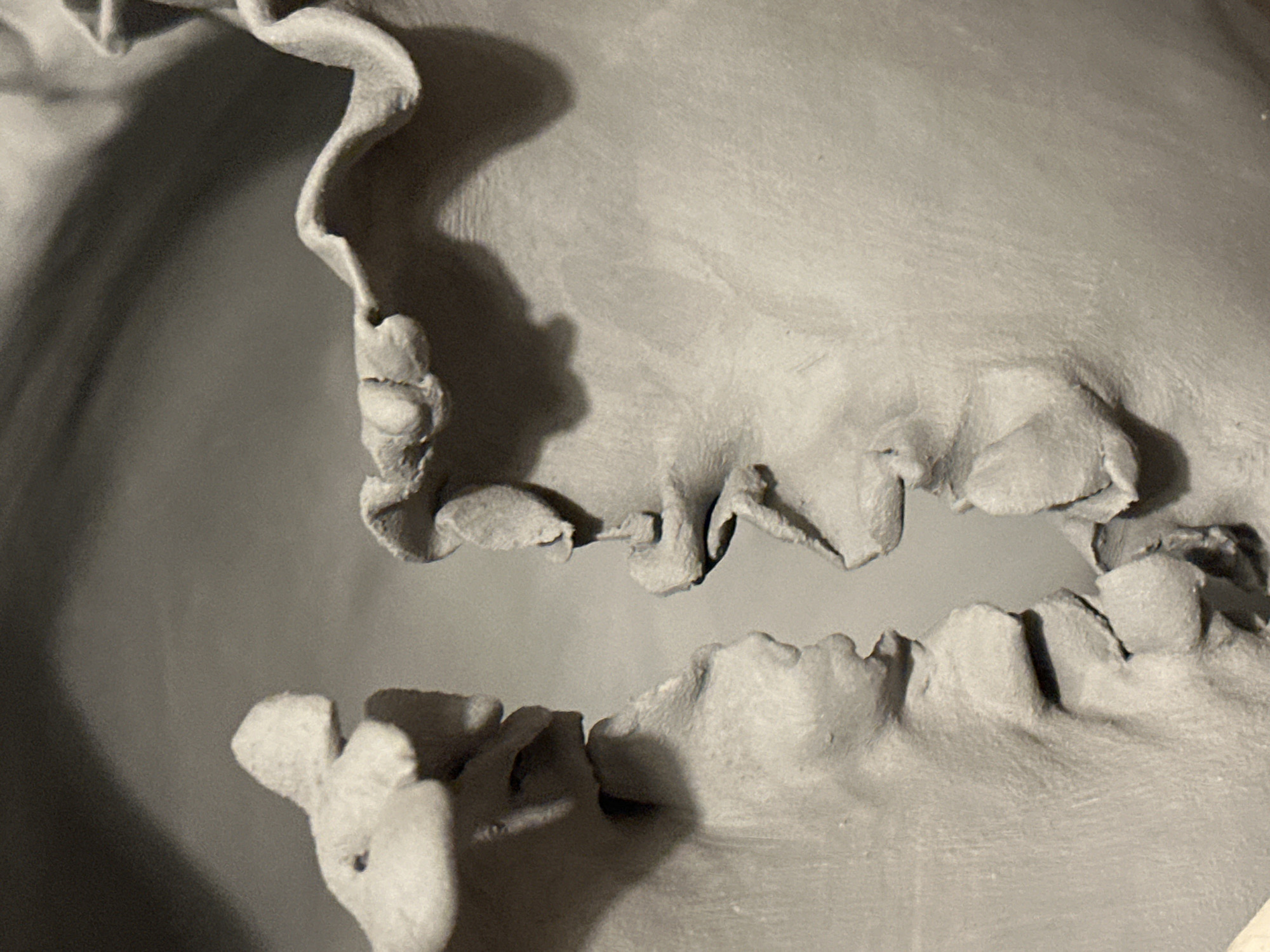 The image shows a close-up, detailed view of a sculpted clay artwork. The sculpture depicts two abstract facial profiles facing each other, nearly touching. The left profile has a distinct ear-like protrusion at the top and a textured, layered surface that suggests features like a nose and mouth. The right profile is similarly abstract, with a wavy, ruffled edge forming what appears to be the top of the head or hair, and also exhibits textured surfaces for facial features. The clay has a matte finish, and the lighting creates soft shadows that highlight the three-dimensional forms and textures of the sculpture. The background is a smooth, muted gray, providing a neutral contrast to the detailed sculpture. There are no indications of location in the city of Nevinnomyssk, Russia, or any other specific environmental details beyond the artwork itself and its presentation.