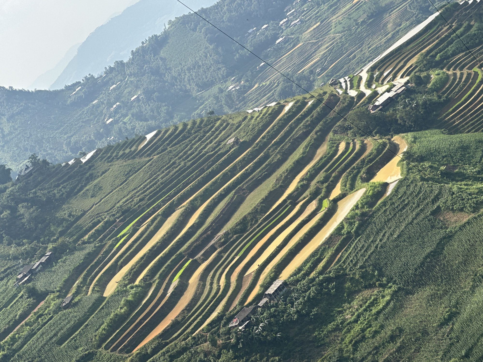The image shows terraced rice fields in Mậu Duệ Commune, Vietnam. The fields are cut into the hillsides, creating a stepped pattern. Some fields are filled with water, appearing tan in color, while others are planted with green rice shoots. Scattered houses are visible among the fields. Hills covered in trees are in the background, with a hazy sky above. Power lines are strung across the scene.