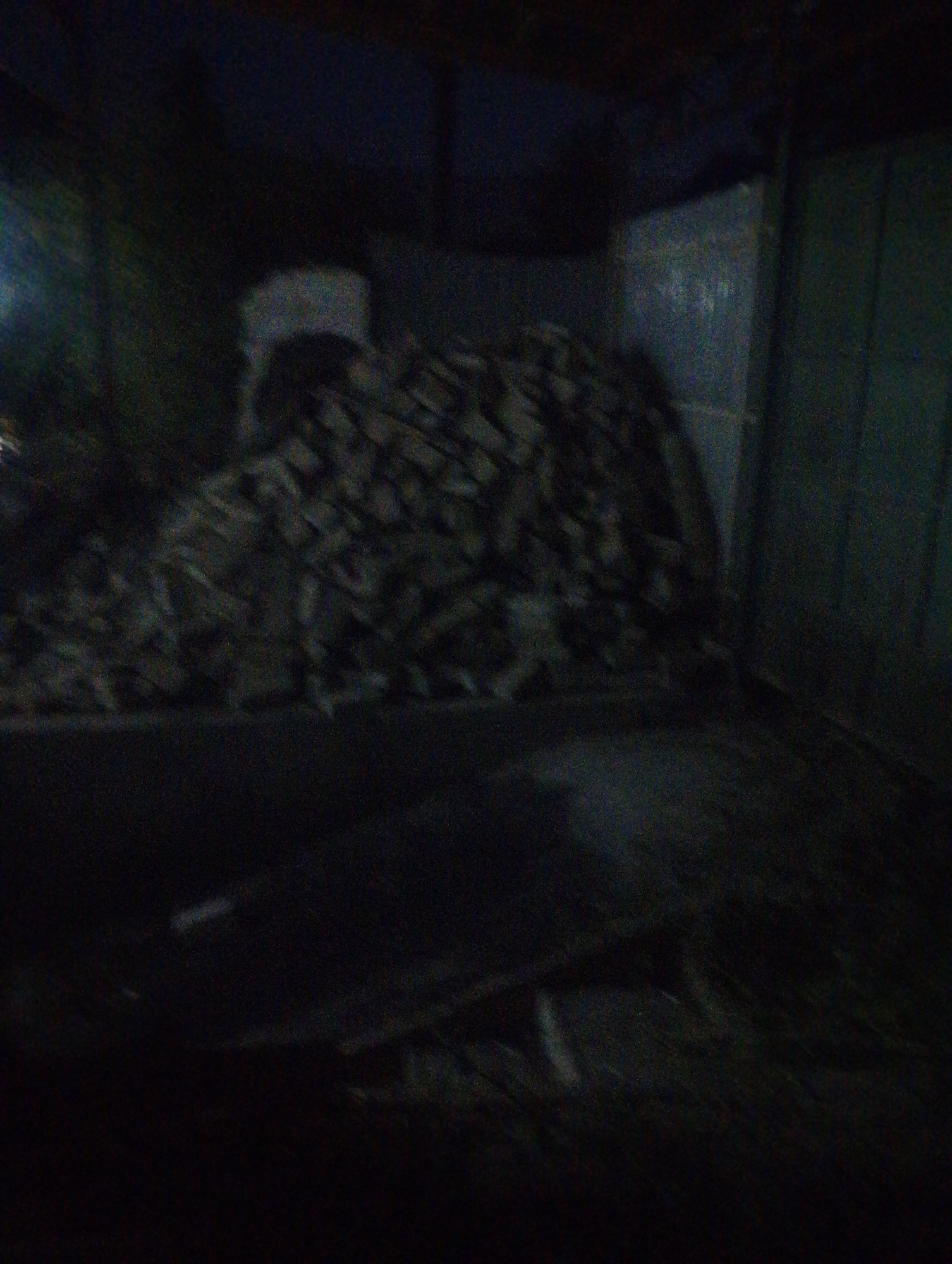 The image depicts a dimly lit, possibly indoor environment, containing a large pile of cut firewood. The firewood is stacked in a haphazard manner, filling a significant portion of the visible space. To the left of the firewood, a dark, blurry object is partially visible, potentially a tarp or a wall. In the background, there appear to be dark walls or structures, with some faint lighter-colored areas that might be debris or light sources. The overall lighting is poor, making it difficult to discern fine details. There are no people or discernible actions occurring in the image. The location of Razzakov, Kyrgyzstan is not visually indicated in the image.