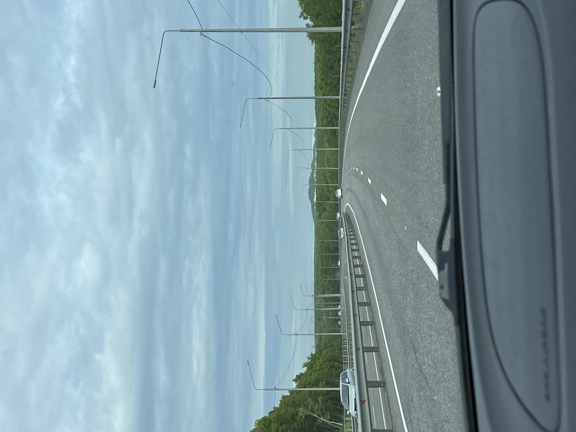 The image depicts a road with multiple lanes curving to the right, bordered by a metal guardrail on the left. Trees line the left side of the road, and on the right, there's a median strip with a series of lampposts and power lines. The sky is overcast with layered clouds. Several white cars are visible on the road in the distance, moving in the same direction as the viewer. The perspective is from inside a vehicle, showing part of the dashboard and windshield wiper. The location is identified as a highway in Petropavlovsk-Kamchatsky, Russia.