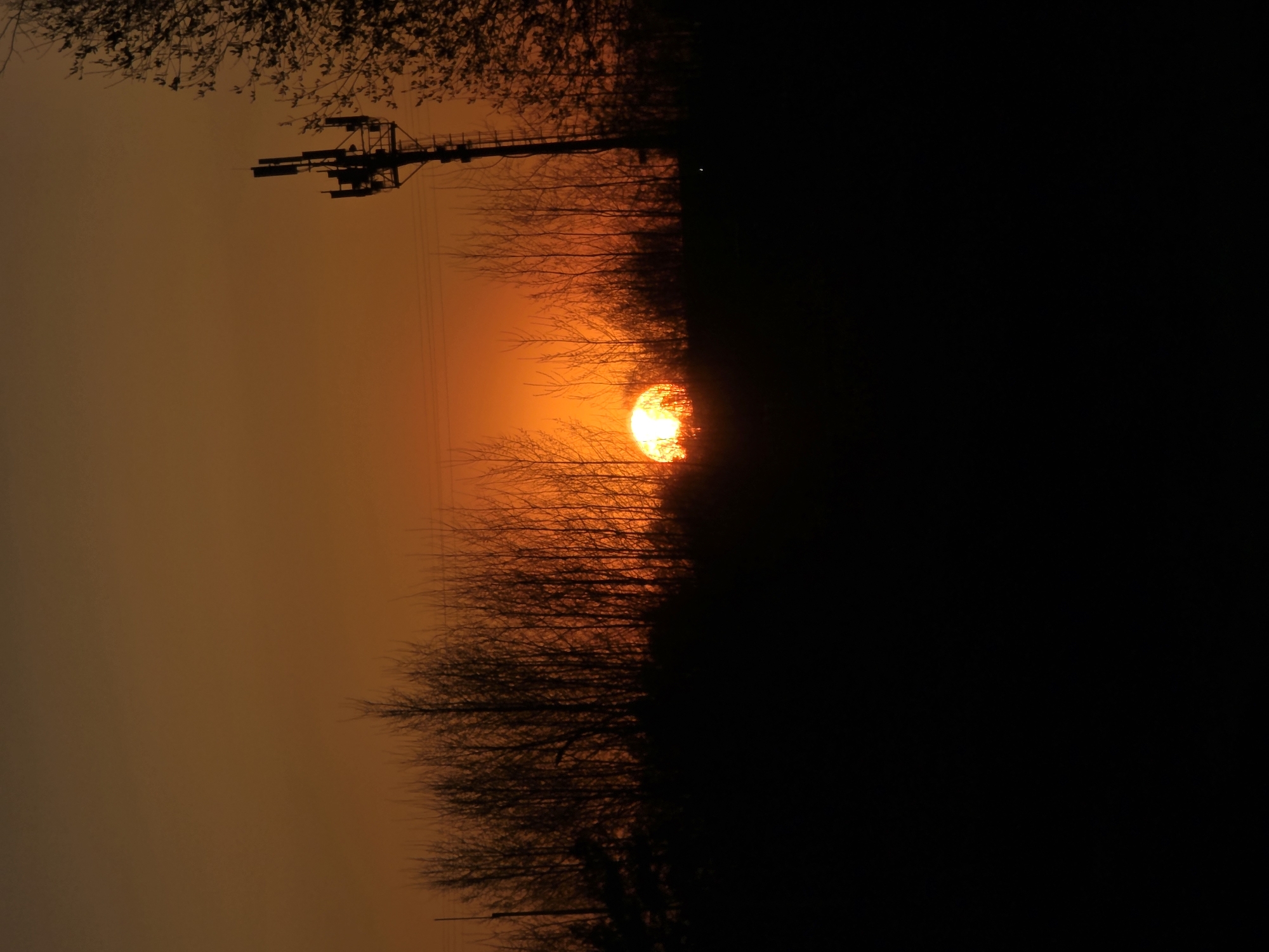 A vertical composition shows a stark contrast between a bright, hazy orange sky on the left and deep shadows on the right. In the center, a silhouetted line of bare trees stretches horizontally, partially obscuring a bright orange sun. To the upper left, a silhouetted utility pole stands against the hazy sky. The scene appears to be a sunset viewed through trees, but the specific location within Chaikovsky, Russia, is not discernible from the image alone. No people are visible. The dominant feature is the interplay of light and shadow, created by the setting sun and the silhouetted landscape.