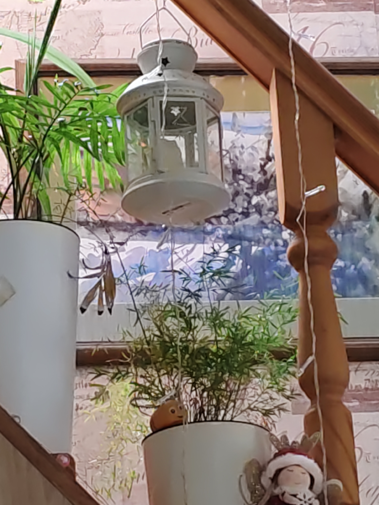 The image depicts an indoor scene with decorative elements and plants. In the foreground, a white lantern hangs from a string, with a light inside. To the left, a tall white planter holds a green plant with thin leaves. A delicate, brown, insect-like ornament hangs from a thin stem in front of the plant. To the right, another white planter contains a smaller, leafy green plant. A small, round, brown object with a face is perched on the edge of this planter. Further to the right, a wooden railing is visible, with a string of white lights draped along it. At the bottom right, a doll dressed in a red and white Christmas outfit, complete with a hat and wings, is partially visible. The background features a wall with a brick-like pattern and a framed picture depicting a landscape scene with trees and water. The overall impression is of a decorated interior space, possibly for a holiday. There is no information in the image to suggest the location is Rostov-on-Don, Russia.