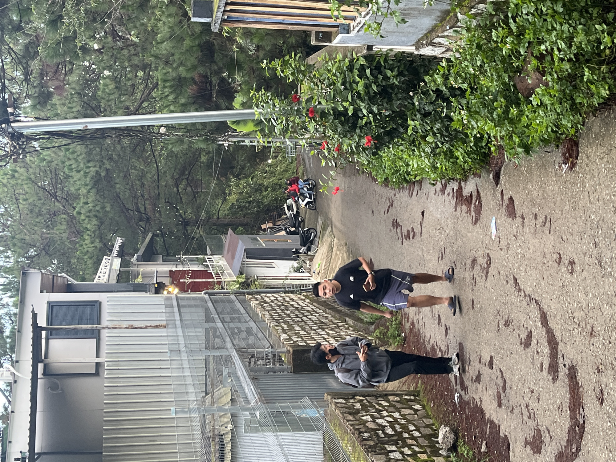 The image depicts a narrow, sloping street in Da Lat, Vietnam. Two young men are walking towards the camera. The man on the left is wearing a grey hooded jacket, black pants, and sneakers, carrying a backpack and holding a smartphone. The man on the right is wearing a black t-shirt, blue shorts with white trim, and sandals, also holding a smartphone. The street is paved with asphalt and shows patches of reddish-brown discoloration, possibly from mud or water.
On the left side of the street, there is a stone wall with moss and a metal fence above it. Behind the fence, there are buildings with corrugated metal siding. On the right side of the street, there is a retaining wall, followed by lush green foliage with red hibiscus flowers and a tall utility pole with numerous wires. Further up the street, several motorbikes are parked, and a group of people are riding on two of them. The background is dominated by dense pine trees, indicative of the mountainous terrain surrounding Da Lat. The overall atmosphere suggests a residential area with a natural, somewhat rustic setting.