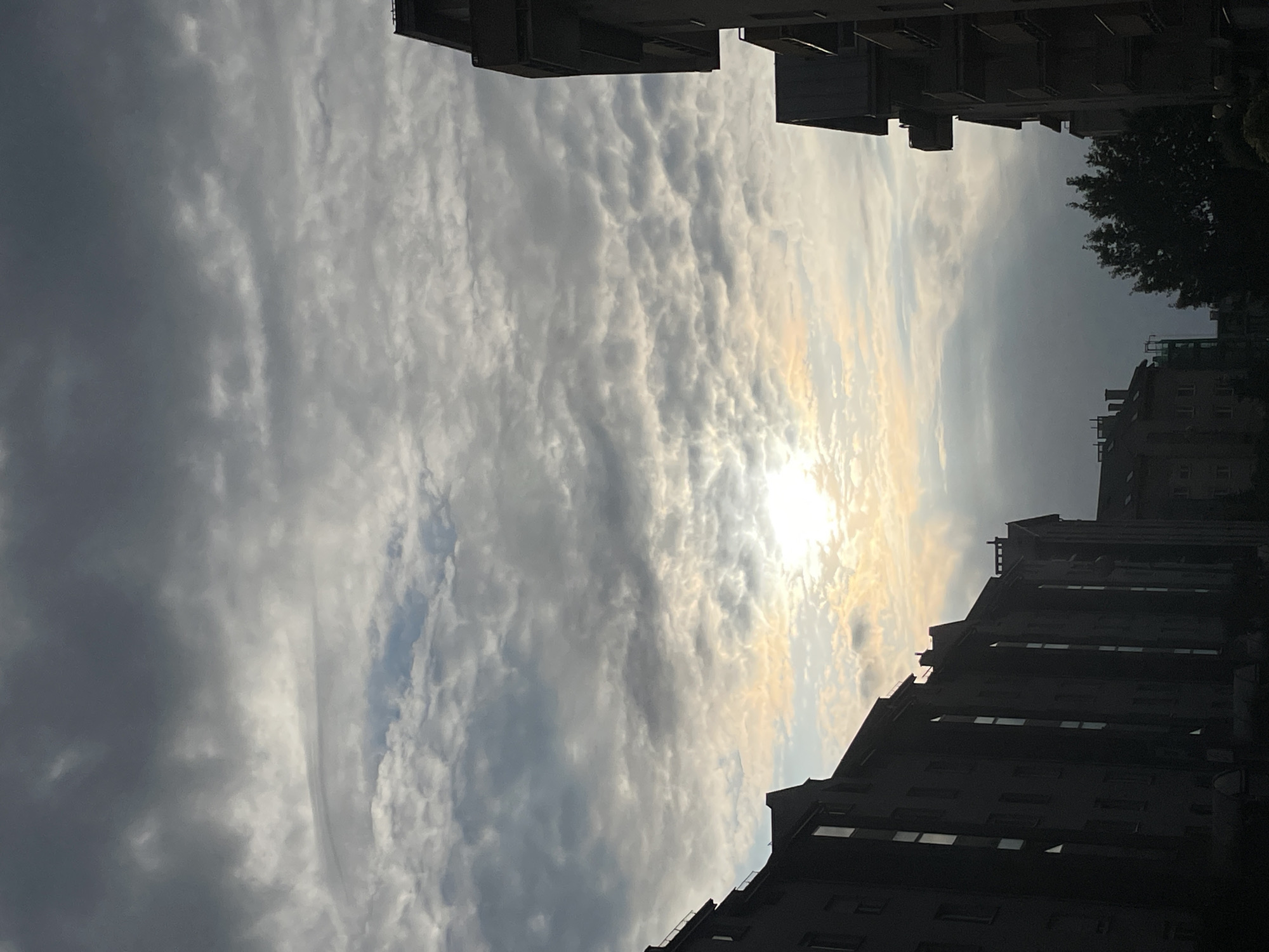 The image displays an urban skyscape dominated by a dramatic cloud formation, back-lit by the sun. The scene is framed by dark silhouettes of multi-story buildings and a tree.
The sky occupies the majority of the frame, filled with a diverse array of clouds. On the left side, the clouds appear denser and darker grey, indicative of heavier coverage. Towards the right, the clouds become more textured and lighter, revealing intricate patterns, likely altocumulus or stratocumulus formations. The sun, although not directly visible, is powerfully breaking through the clouds on the right, casting a brilliant, warm light that illuminates the edges of the clouds with soft yellow and orange tones. This strong backlight creates a high-contrast scene.
Silhouetted against the bright sky are parts of several tall, multi-story buildings, appearing along the top and bottom edges of the frame. These structures are dark, with visible windows suggesting residential or commercial architecture common in urban areas. On the far right, a dark, dense tree is also silhouetted against the brighter sky, its foliage adding a natural element to the otherwise constructed environment.
The strong, low-angle light and the silhouetted foreground elements suggest the time of day is either sunrise or sunset. The weather is partly cloudy, with the sun breaking through. The overall setting is clearly urban, indicated by the architecture. No people or visible text are present in the image.