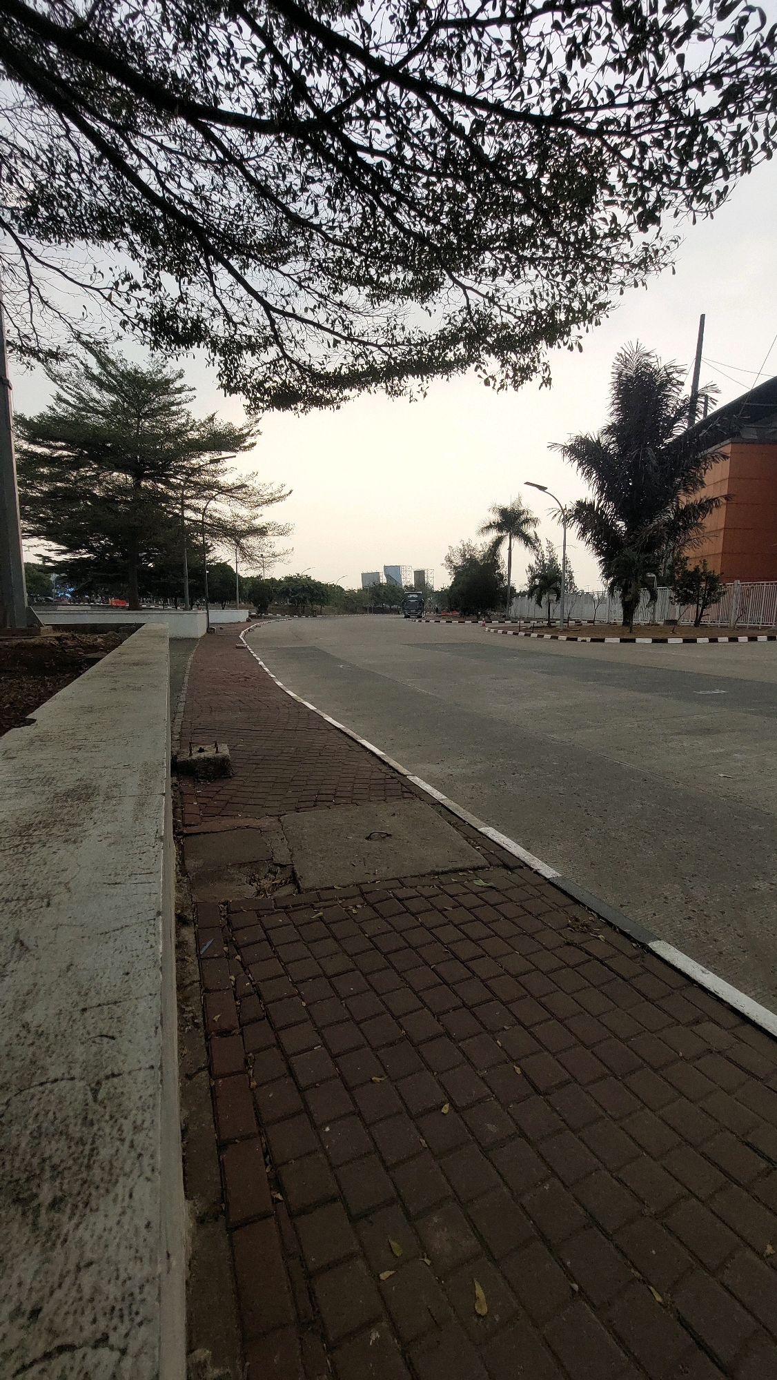 The image depicts a street scene in Cibinong, Indonesia, likely during overcast conditions or early morning/late afternoon given the soft light. In the foreground, a textured concrete barrier runs along the left side of the frame. Adjacent to it is a red brick sidewalk, some sections of which appear worn or have missing bricks, with scattered dry leaves. The sidewalk curves to the right, meeting a paved road. The road is empty of pedestrians and vehicles except for a dark-colored truck visible in the distance. On the right side of the road, a white fence with black and white striped posts lines the area. Palm trees and other foliage are visible along the roadside, with more trees and buildings in the background, including a tall orange building. Overhead, the dark silhouettes of tree branches and leaves obscure parts of the sky. The overall impression is an urban or suburban street with pedestrian walkways and a roadway, bordered by greenery and structures.