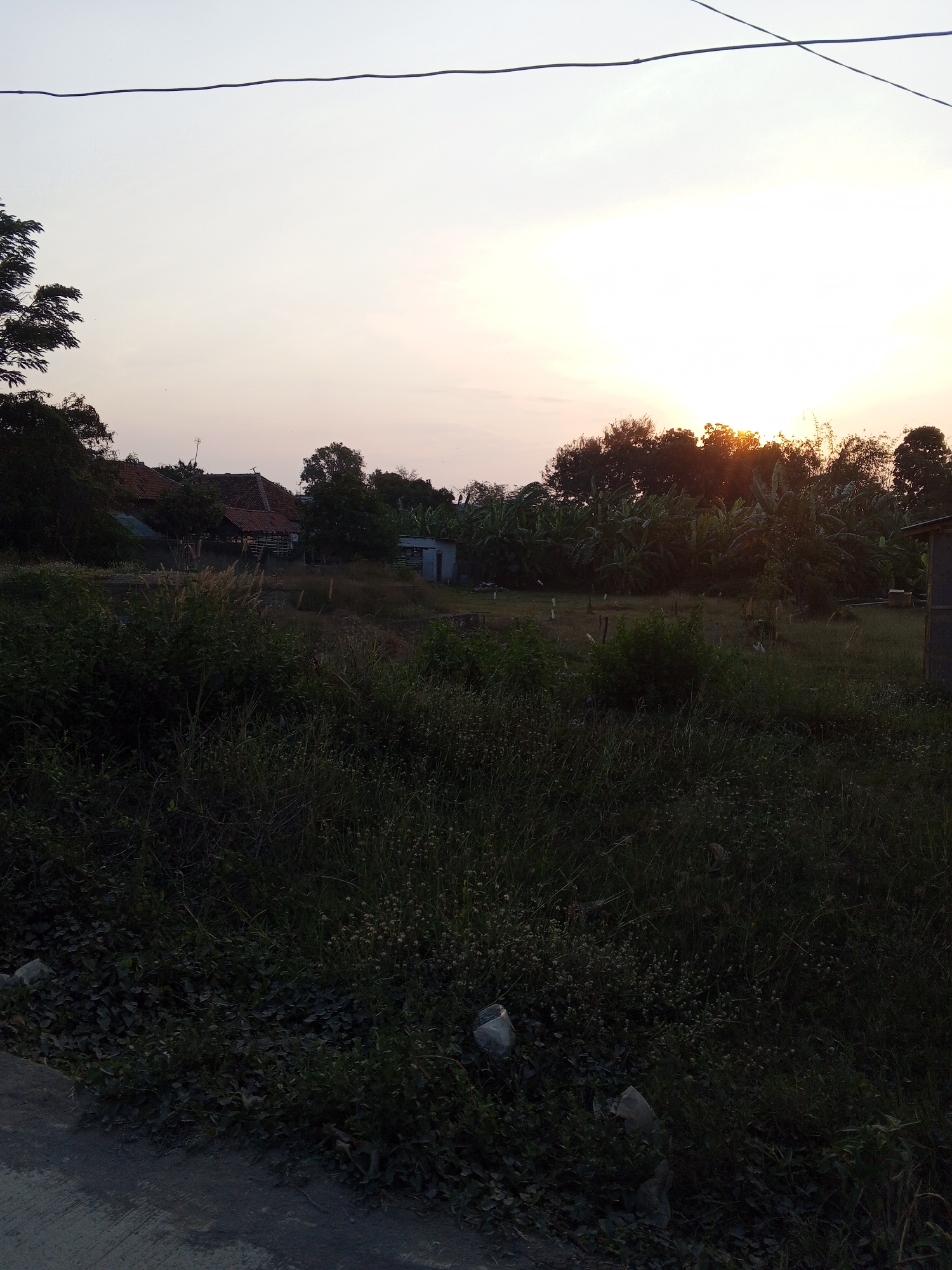 A landscape photograph captures an outdoor scene in Gebang, Indonesia, at dusk. The image is dominated by a wide expanse of sky transitioning from a pale blue near the horizon to a lighter shade above. A thin, dark wire stretches horizontally across the upper portion of the frame. Below the sky, a dense line of trees forms a dark silhouette against the fading light. The setting sun is partially visible, peeking through the foliage of these trees, casting an orange glow. The foreground consists of overgrown vegetation, with tall grasses and scattered smaller plants. Partially visible in the lower left is a paved surface, possibly a road or pathway. Scattered plastic waste is visible on the ground amidst the vegetation, including crumpled white plastic bags. In the middle ground, several structures with reddish-brown tile roofs are nestled amongst the trees. One structure appears to be a small, light-colored building with a dark roof. The overall impression is one of a rural or semi-rural setting during twilight.