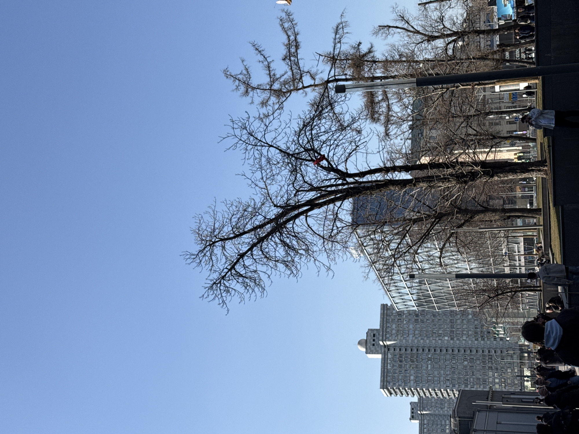 The image depicts an urban scene under a clear blue sky, situated in Moscow, Russia, specifically along Mosfilmovskaya Street.
In the background, several tall, grey residential buildings from the "House on Mosfilmovskaya" complex are prominent. One of these buildings features a small, light-colored dome structure on its rooftop. Adjacent to these, a modern multi-story building with a geometric glass facade reflects the sky and surrounding elements. Portions of signage on this building are visible, including "COSMOD..." (likely COSMOS).
The midground is dominated by numerous deciduous trees with bare branches, indicative of late winter or early spring. A single red object, possibly a shoe or piece of clothing, is lodged in the upper branches of a central tree. Several dark, metallic vertical poles, likely streetlights or signage posts, are interspersed among the trees. Further right, a multi-panel advertising screen is partially visible.
The foreground and lower midground are populated by numerous pedestrians walking on paved surfaces and across grassy areas. Most individuals are dressed in dark or muted colored outerwear. One person in the midground, wearing a light-colored jacket, is seen holding a phone. Another person in the immediate foreground, with their back to the camera, wears a dark hoodie. The ground consists of paved walkways, grass patches, and dark-colored concrete or stone planters creating varying levels. The overall scene suggests a sunny day in an active urban environment.