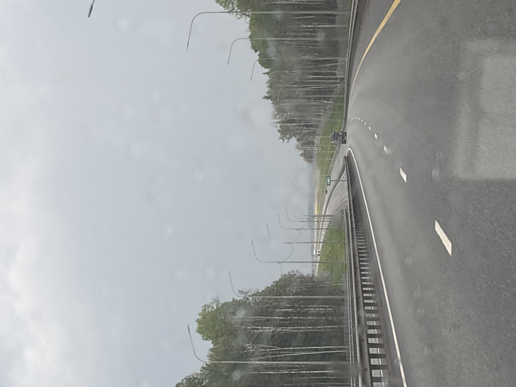 The image captures an overcast daytime scene on a highway, likely viewed from inside a moving vehicle due to visible water droplets or streaks on a window. The dark asphalt road curves gently to the right, appearing wet from recent or ongoing rain. A solid yellow line separates the lanes from the left side of the road, while white dashed lines mark the individual lanes.
To the left, a metal guardrail runs alongside the highway, beyond which a dense line of trees forms a natural barrier. Several streetlights with distinct curved arms are spaced out along the treeline, extending into the distance. A small, dark vehicle is faintly visible further down the road.
A notable detail is a green road sign with the white numbers "1461" displayed on the left side, near the guardrail. The sky is entirely grey and cloudy, indicating a heavily overcast day with subdued lighting. The scene conveys a sense of travel on a highway, with the wet road and grey sky contributing to a somewhat somber or reflective atmosphere. No people are visible.