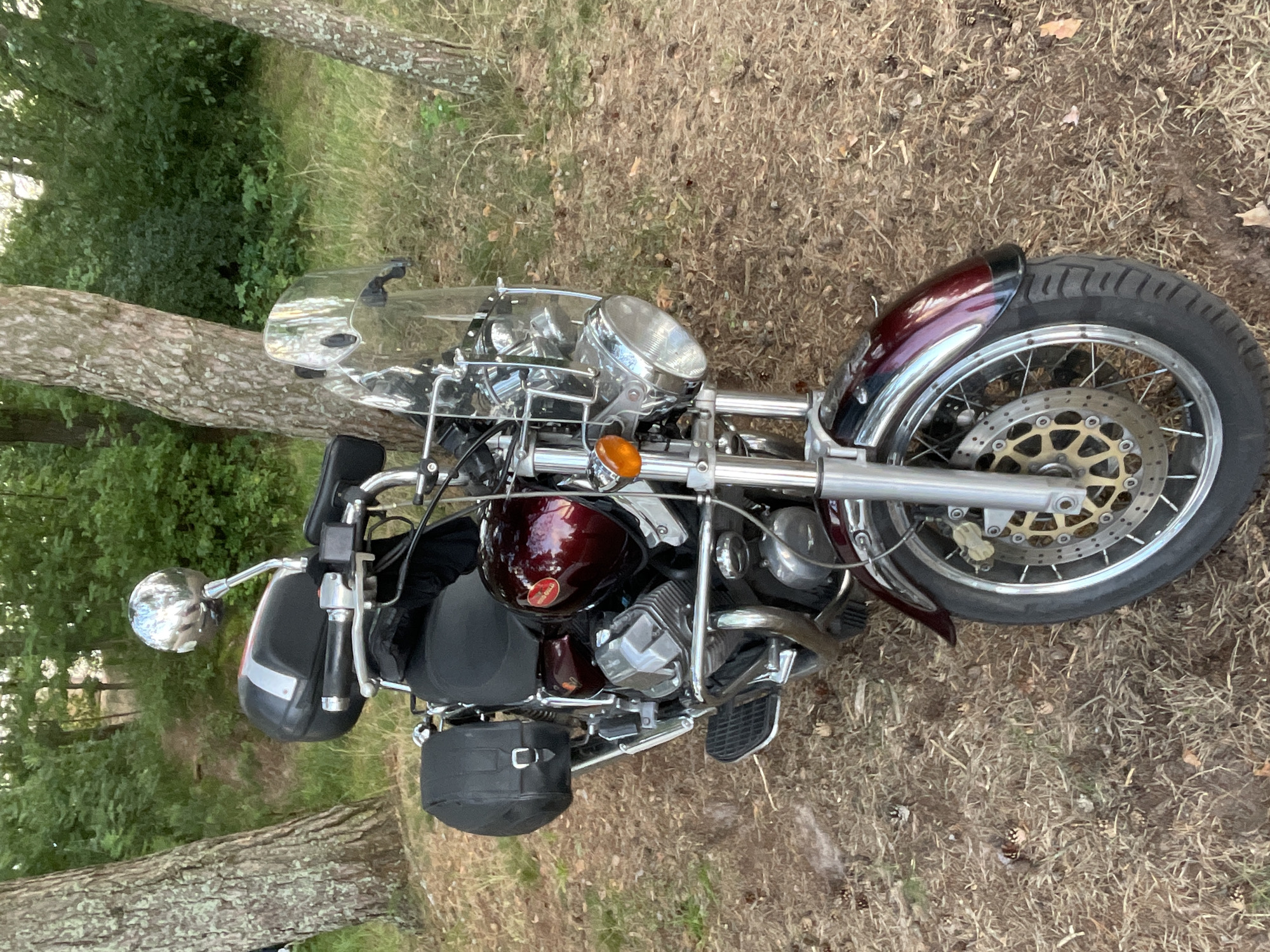 A maroon and chrome motorcycle with a black saddlebag and a black storage box is parked on a pine needle-covered ground among trees. The motorcycle has a clear windshield and a chrome headlight. The background consists of green foliage and trees. The image appears to have been taken in Zelenaya Roshcha, Russia, an area known for its pine forests. There are no people or animals visible in the image.