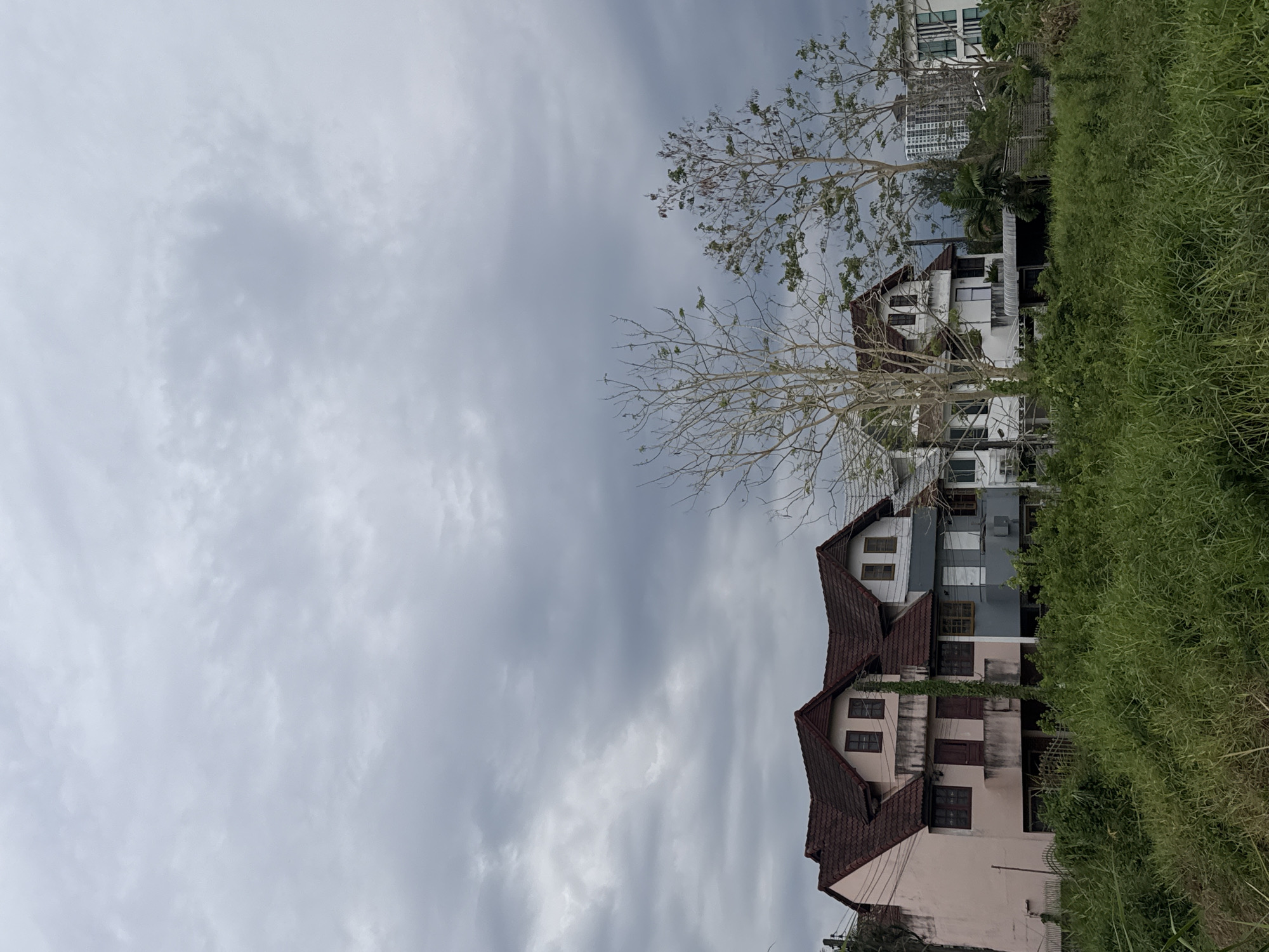 The image shows a view of several houses under a cloudy sky in บ้านกาญจน์กนก 23, Thailand. The houses are multi-story with red tiled roofs. Tall grass grows on the right side of the frame. A tree with sparse branches is located in front of the houses. In the background, a taller, modern building is visible. There are no people visible.