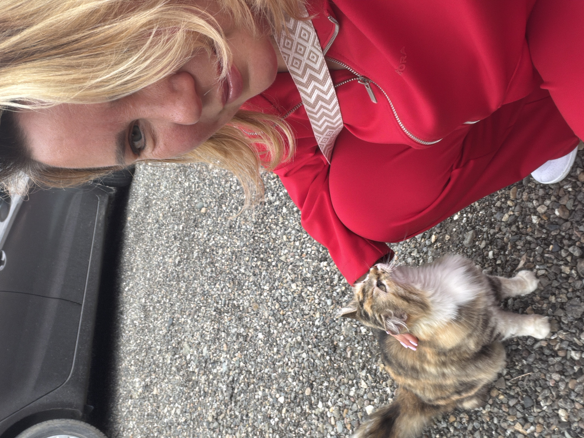 A woman with blonde hair kneels on a gravel surface, interacting with a fluffy tabby cat. The woman wears a red tracksuit with a decorative strap. The cat lies on its back, seemingly being petted. A dark-colored car is partially visible on the left. The gravel surface suggests an outdoor location. There is no verifiable evidence to suggest this is located within Leningradskaya, Russia.