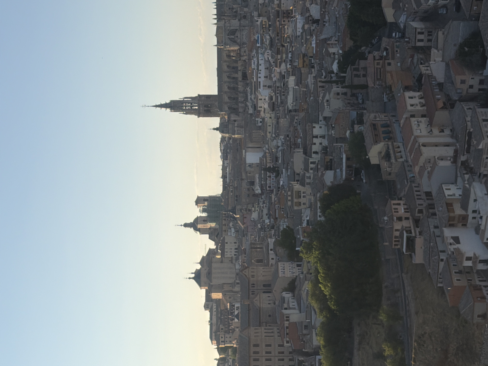 This is a high-angle, vertical, full shot of the cityscape of Toledo, Spain, bathed in the warm light of what appears to be either sunrise or sunset. The sky is a soft, gradient blue, fading to a pale yellow near the horizon. In the foreground, a densely packed collection of terracotta-roofed buildings fills the frame, their muted colors blending into a warm earthy palette. Some buildings feature cream-colored facades, while others are a pale ochre or a muted reddish-brown.
Dominating the midground and left side of the image are several prominent church structures with distinct domes and towers. The most striking architectural element is a tall, Gothic cathedral with a spired bell tower situated in the right-midground. Its stone facade is intricately detailed, and scaffolding is visible on parts of the structure, suggesting ongoing restoration or maintenance. To its left, several other religious buildings with rounded domes and bell towers are visible, their architecture appearing older and perhaps more Baroque or Renaissance in style.
The buildings are clustered tightly together, creating a sense of historic density. Narrow streets and alleys are implied by the gaps between the structures. Lush green trees are visible in the foreground and scattered throughout the cityscape, providing a natural contrast to the urban architecture. The overall impression is of an ancient and historically rich European city, characterized by its religious architecture and dense urban fabric. No people are visible in the frame.