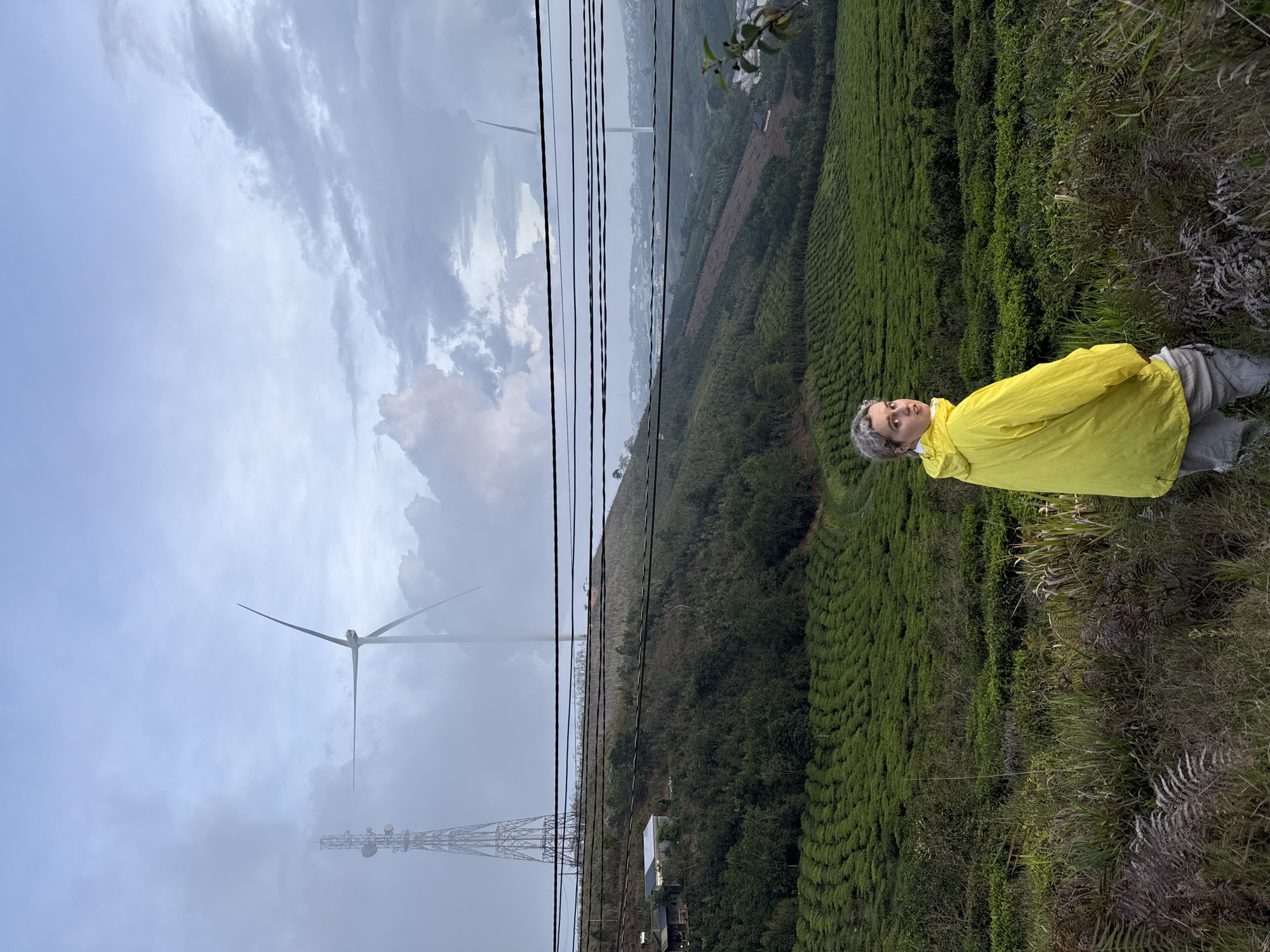 A medium shot captures a person standing on a grassy hillside overlooking a valley in Trường Thọ, Vietnam. The individual, with short gray hair and wearing a yellow raincoat, faces the viewer. Behind them is a hillside covered in tea bushes, arranged in neat rows. In the valley below, a communications tower and several wind turbines are visible in the misty distance. Power lines run across the foreground of the scene. The sky is overcast with thick, gray clouds.